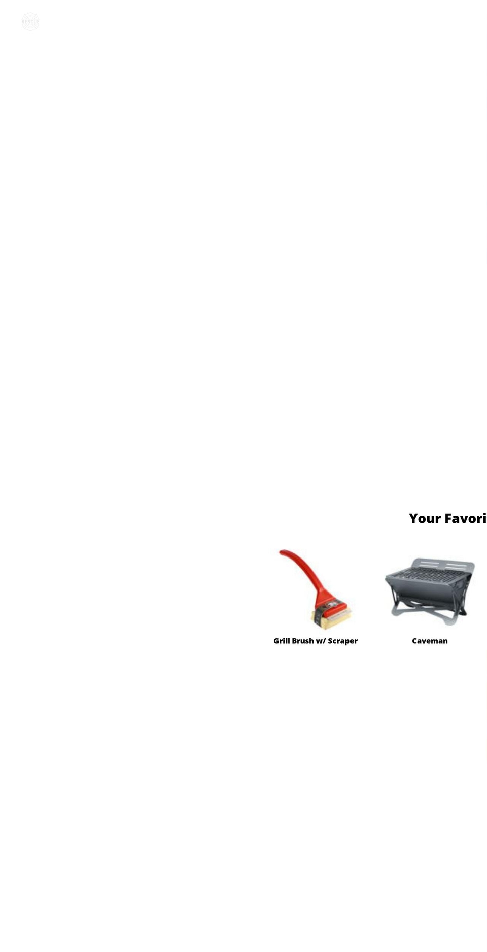 theworldsbestgrillbrush.com shopify website screenshot