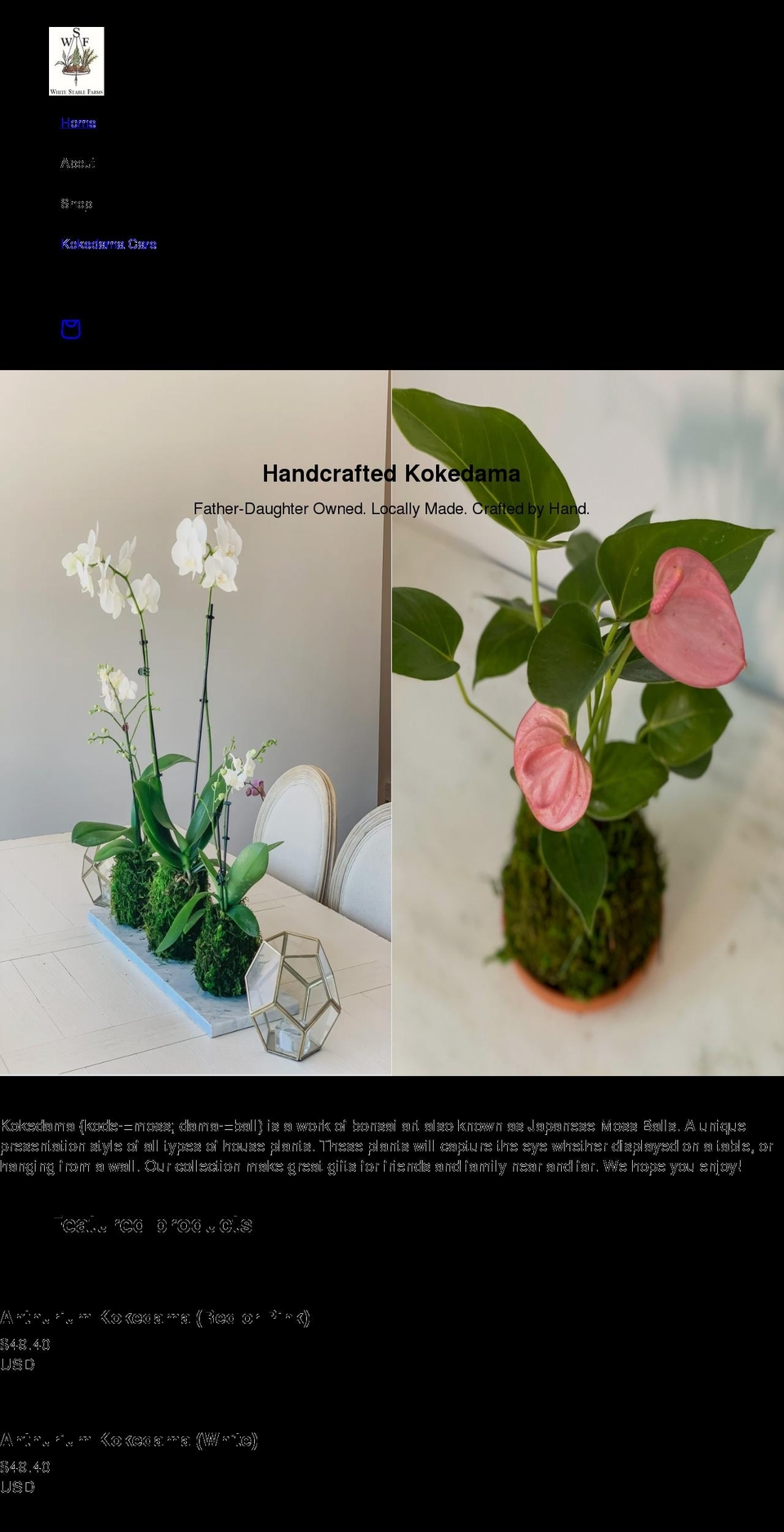 theworthywitch.com shopify website screenshot