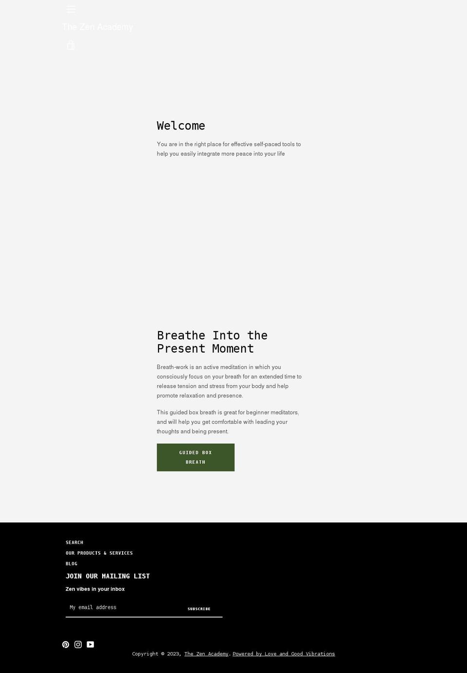 thezenacademy.com shopify website screenshot