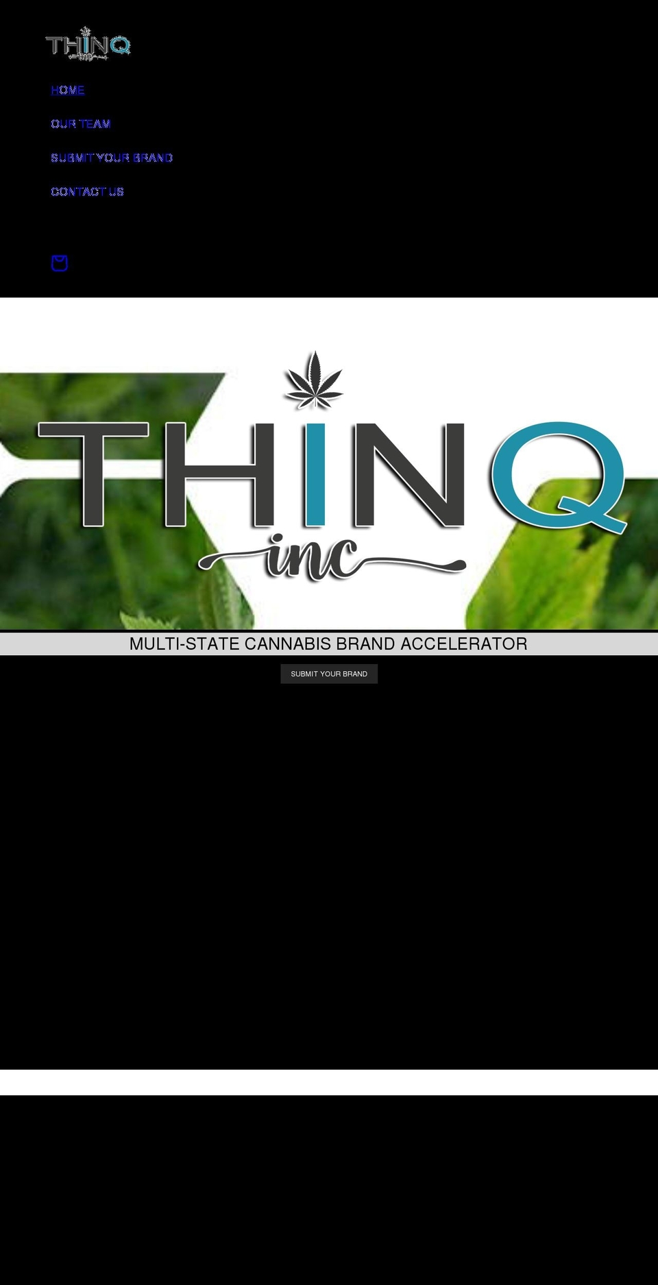 thinqus.com shopify website screenshot