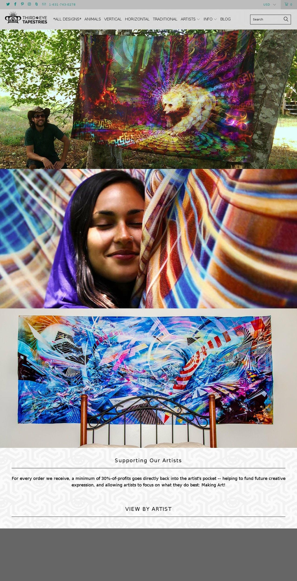 thirdeyecanvas.com shopify website screenshot