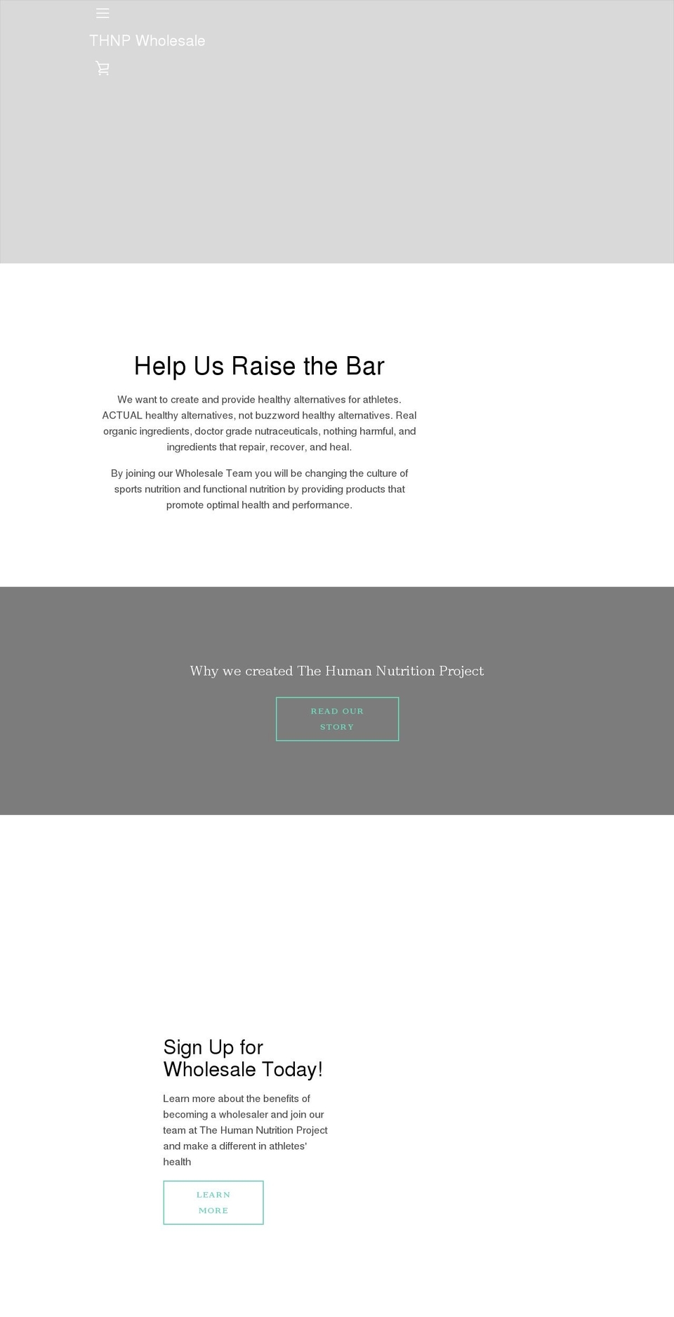 thnpwholesale.com shopify website screenshot