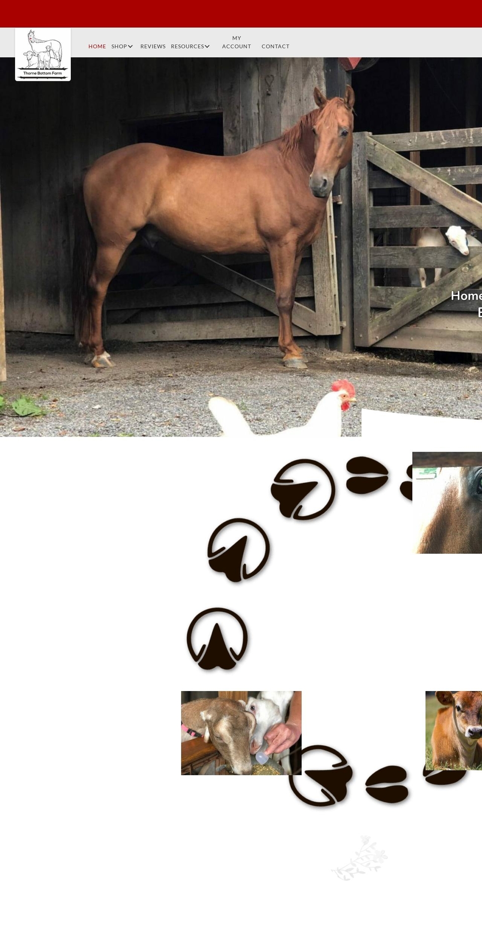 thornebottomfarm.com — Shopify storefront screenshot