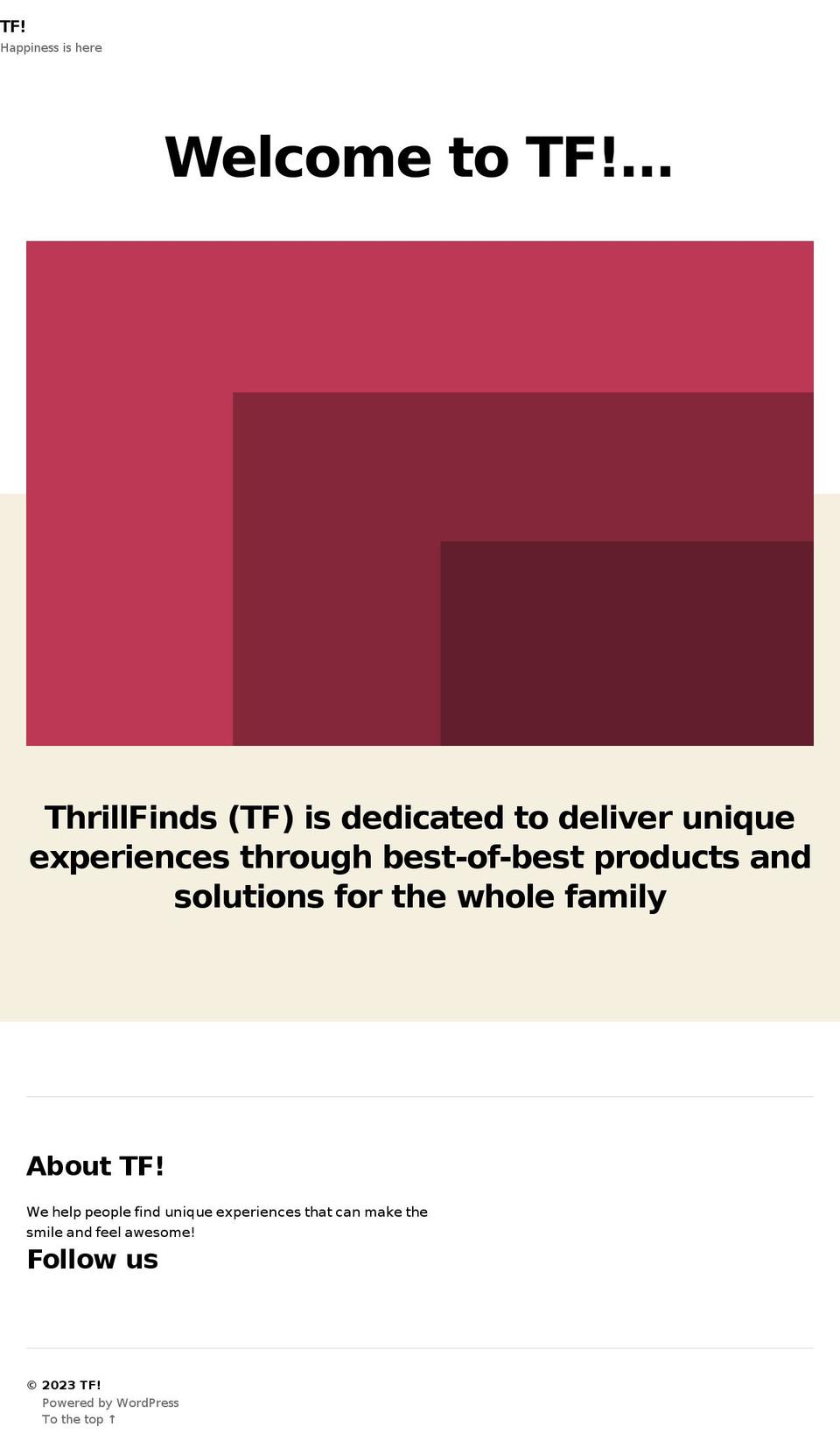 thrillfinds.com — Shopify storefront screenshot
