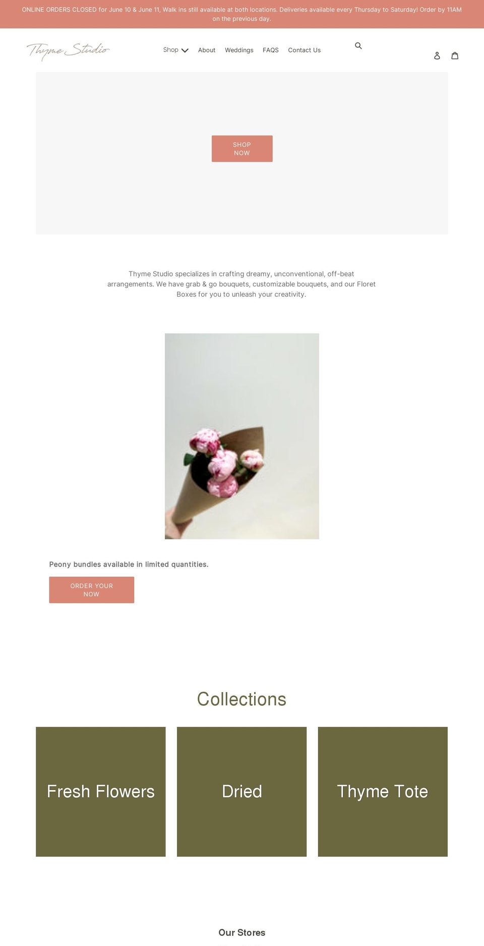 thymestudio.ca shopify website screenshot