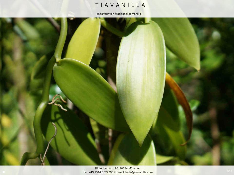 tiavanilla.com — Shopify storefront screenshot