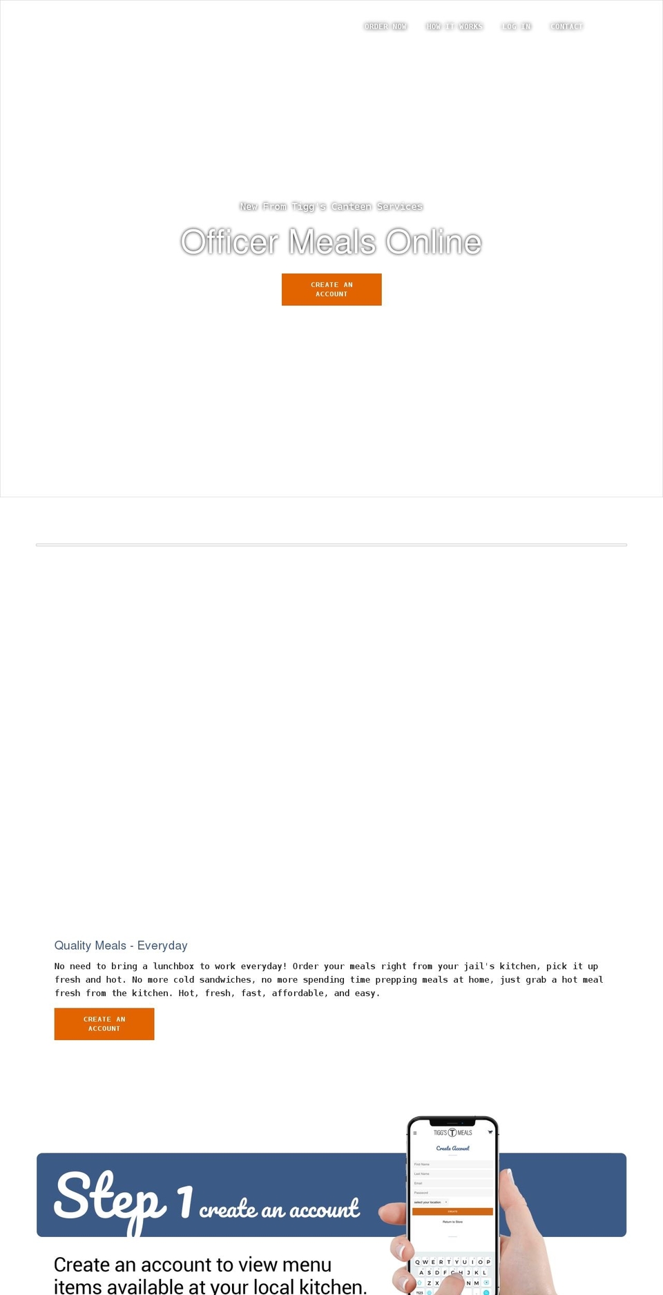 tiggsmeals.com shopify website screenshot