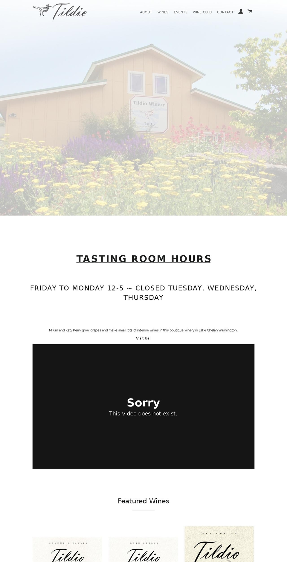 tildio.com shopify website screenshot