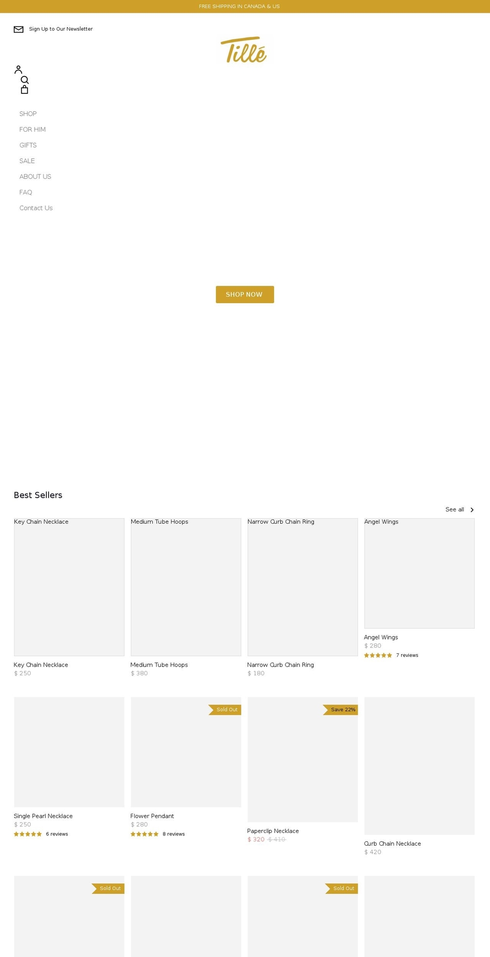 tillegoldgallery.com shopify website screenshot