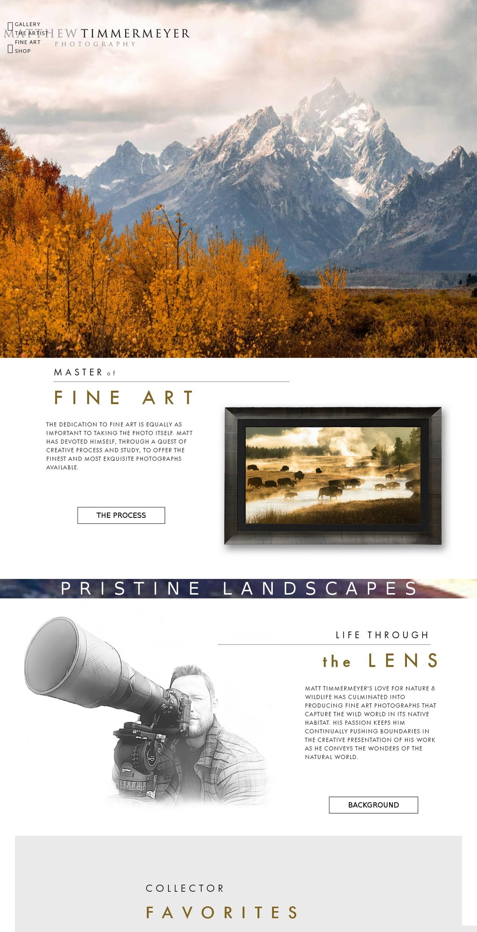 timmermeyergallery.com shopify website screenshot