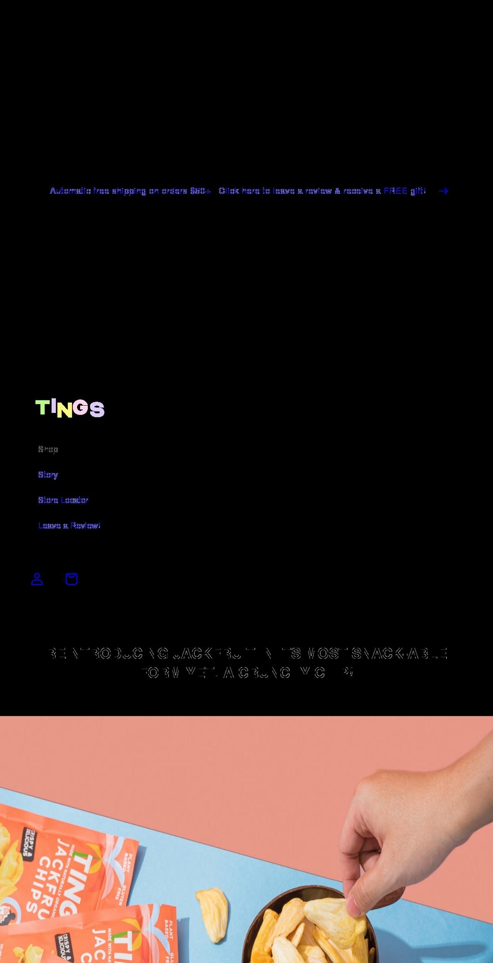 tingschips.com shopify website screenshot