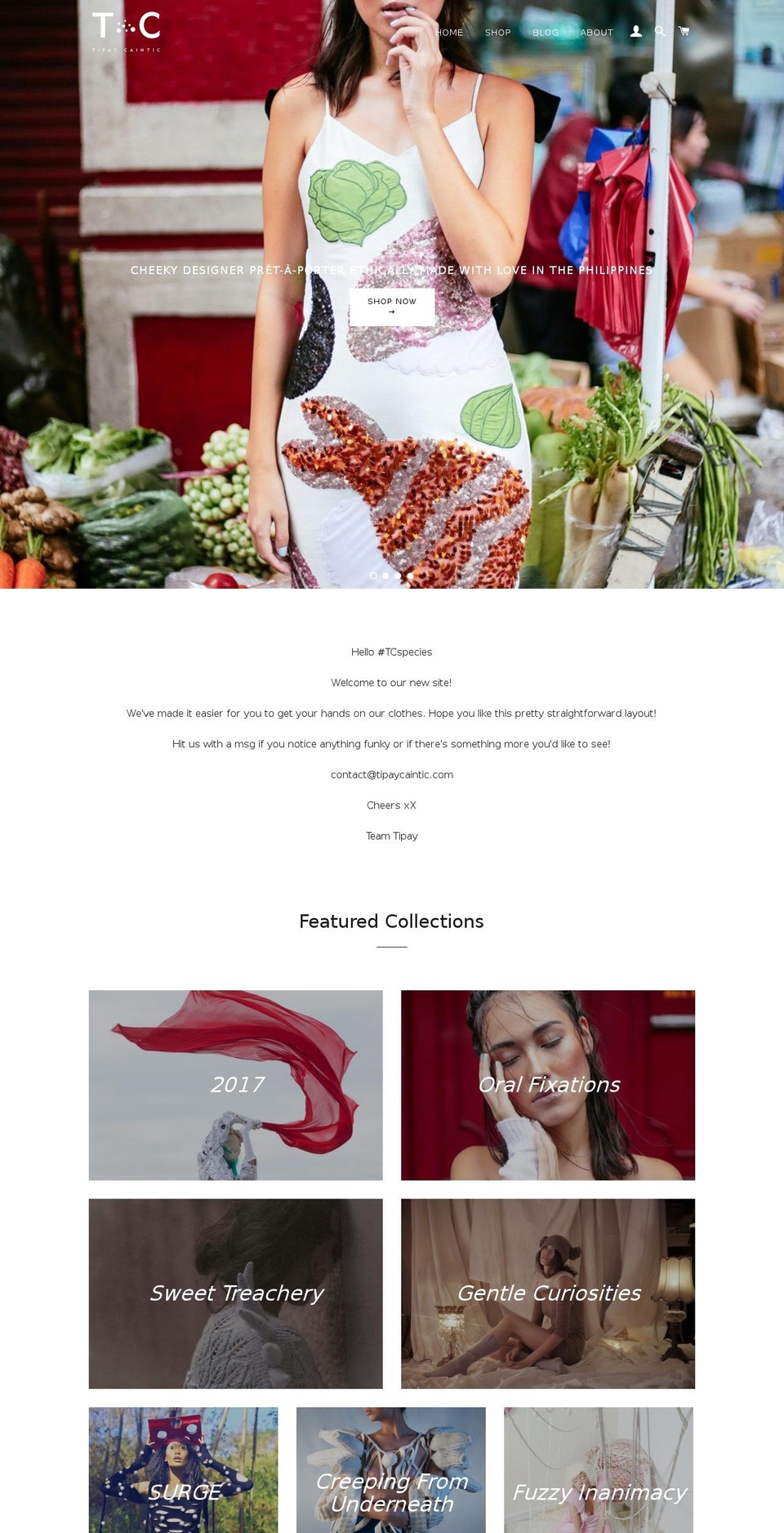 tipaycaintic.com — Shopify storefront screenshot