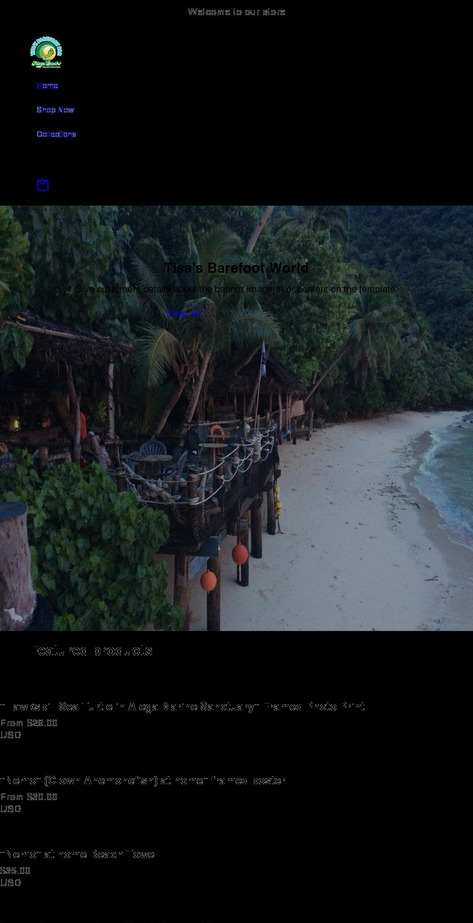 tisas-barefoot-world.myshopify.com shopify website screenshot