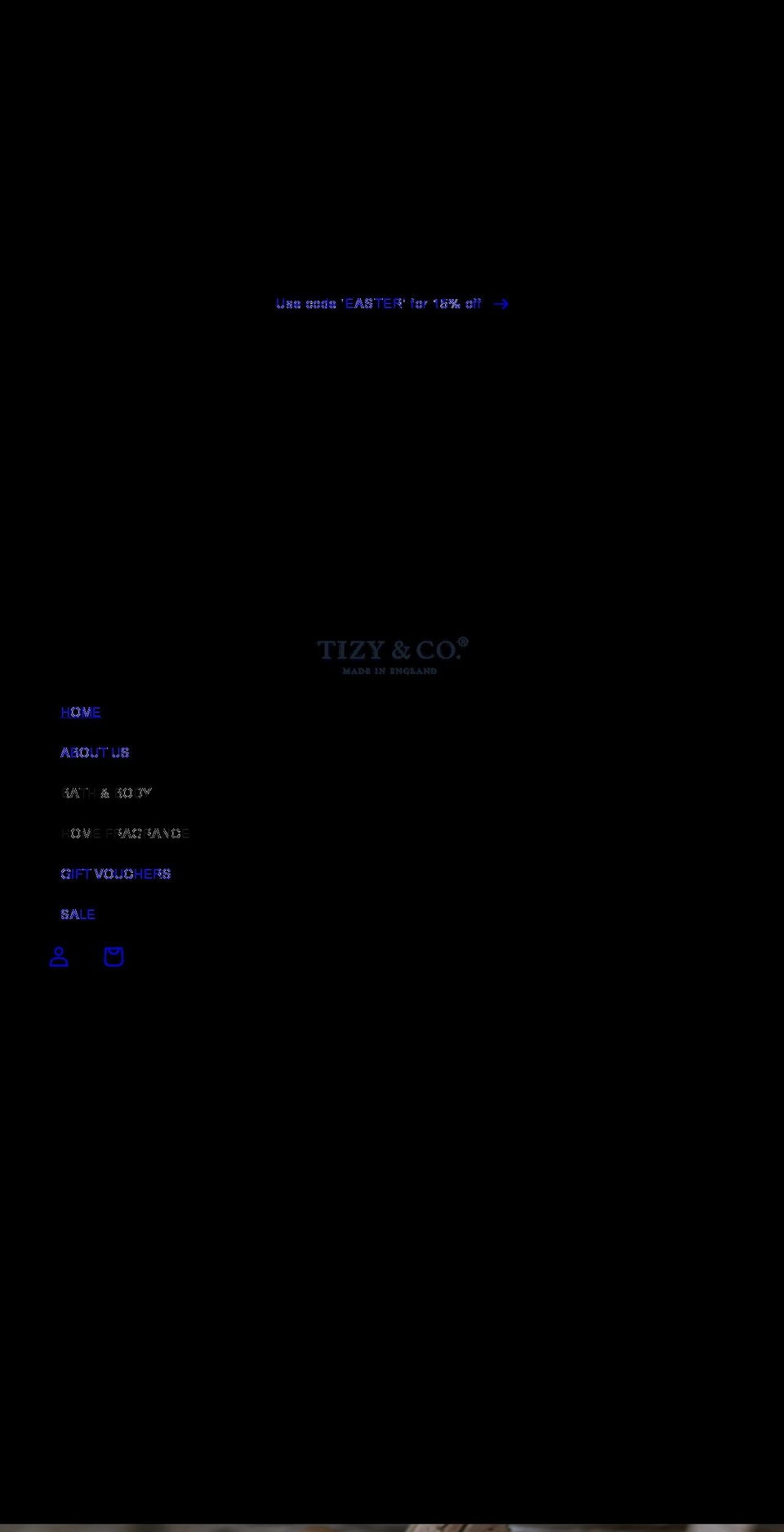 tizyandco.co.uk shopify website screenshot