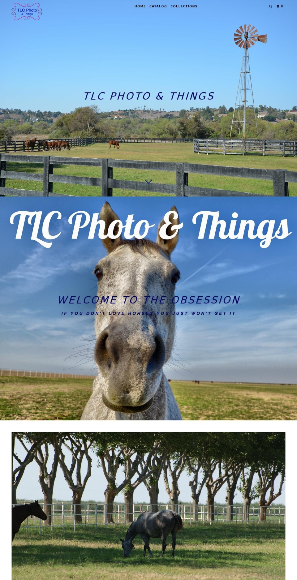 tlcphotoandthings.com — Shopify storefront screenshot