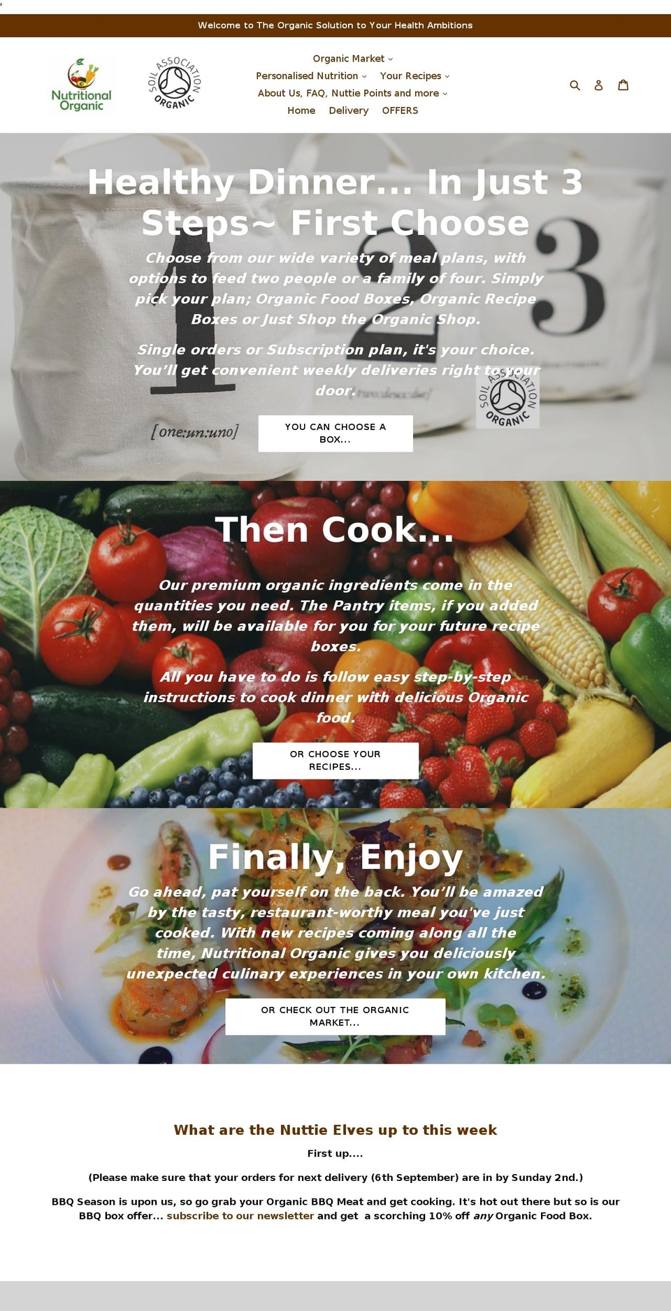 tnofc.com — Shopify storefront screenshot