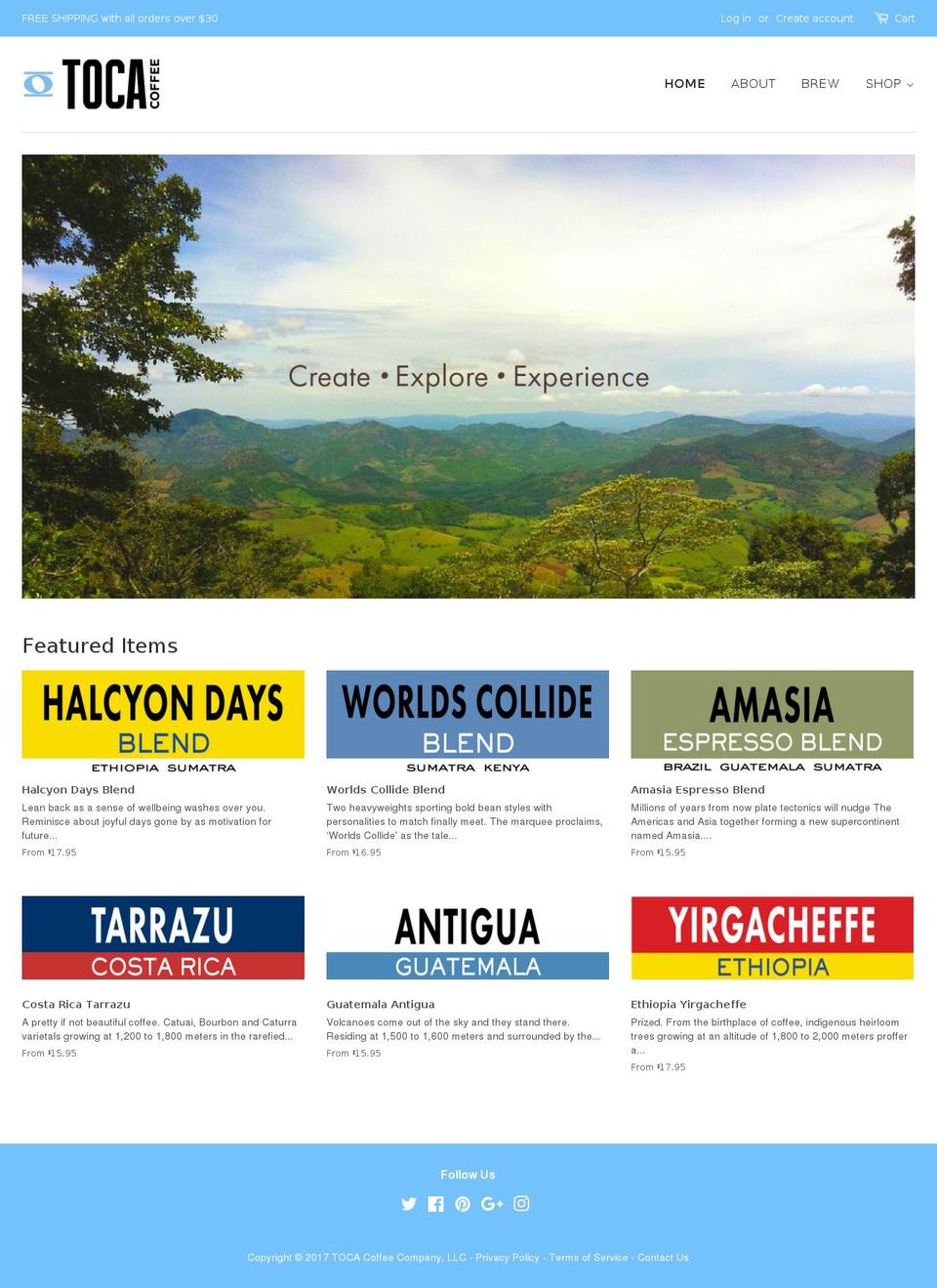 tocaccino.com shopify website screenshot
