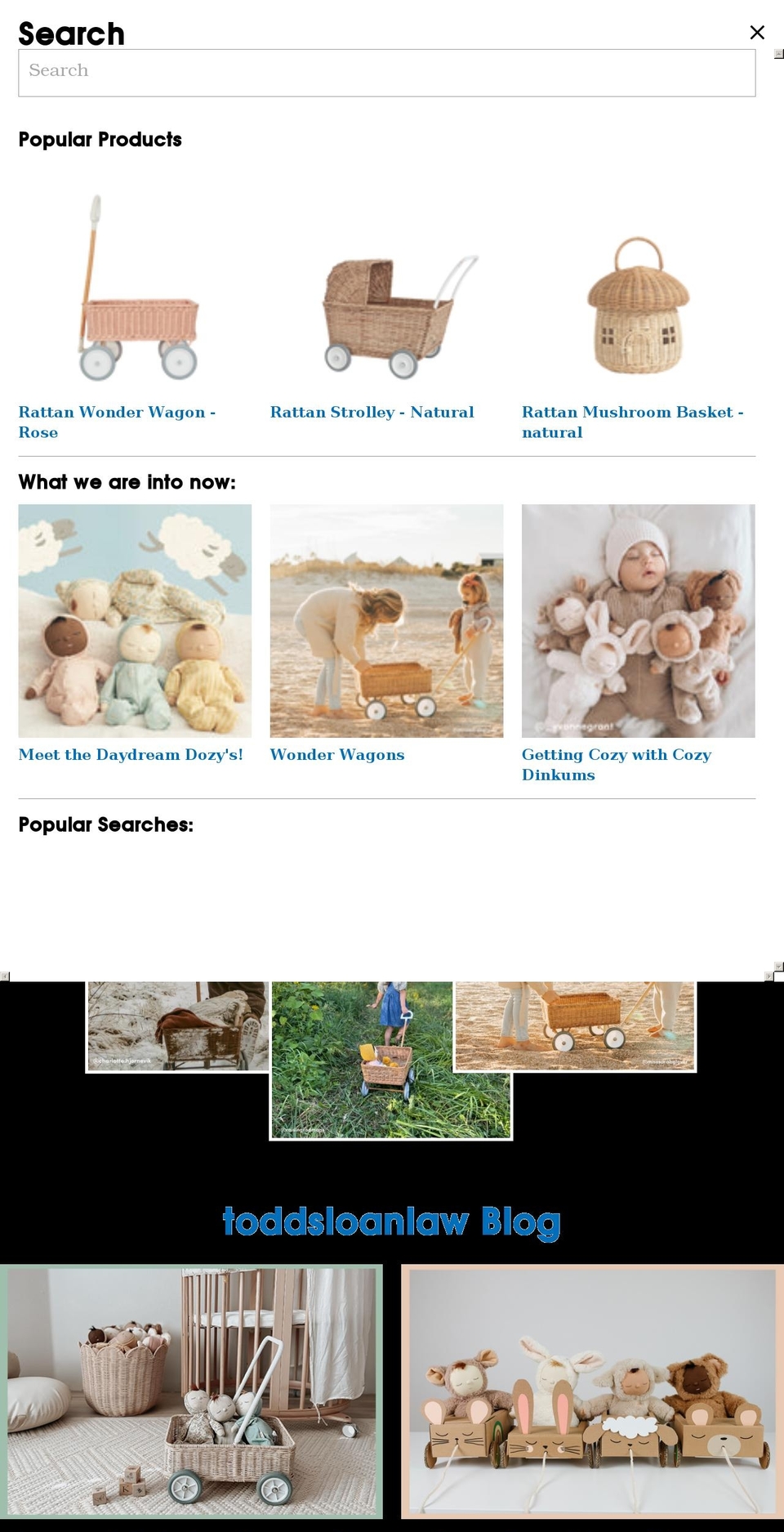 toddsloanlaw.com shopify website screenshot