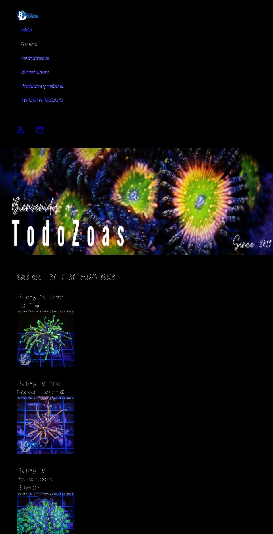 todozoas.com shopify website screenshot