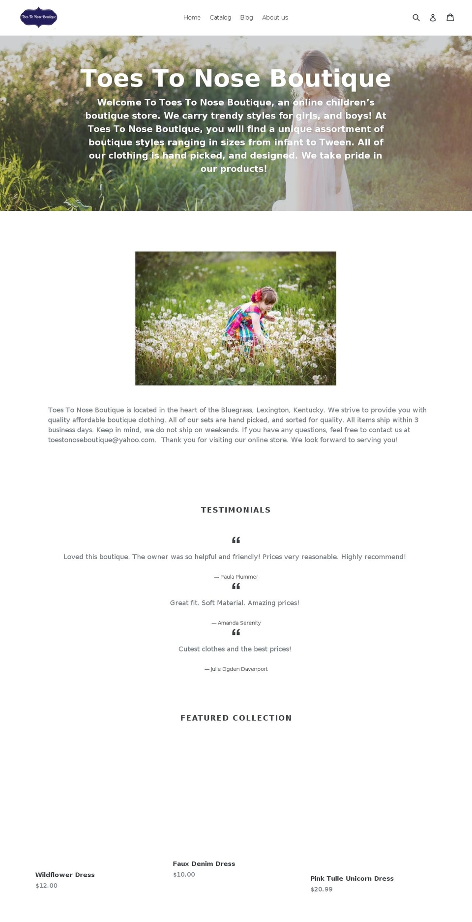 toestonoseboutique.com — Shopify storefront screenshot