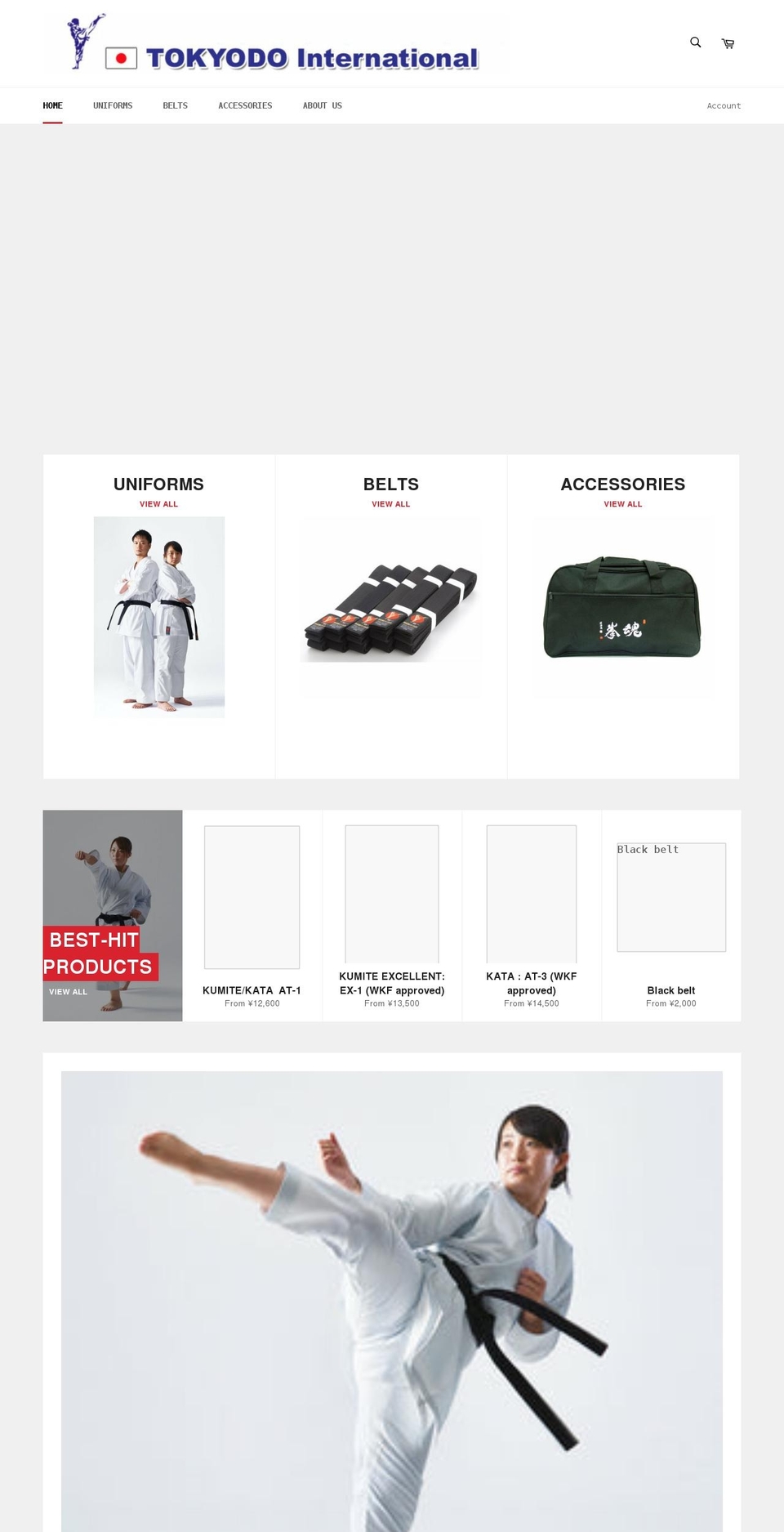 tokyodo-karate.com shopify website screenshot