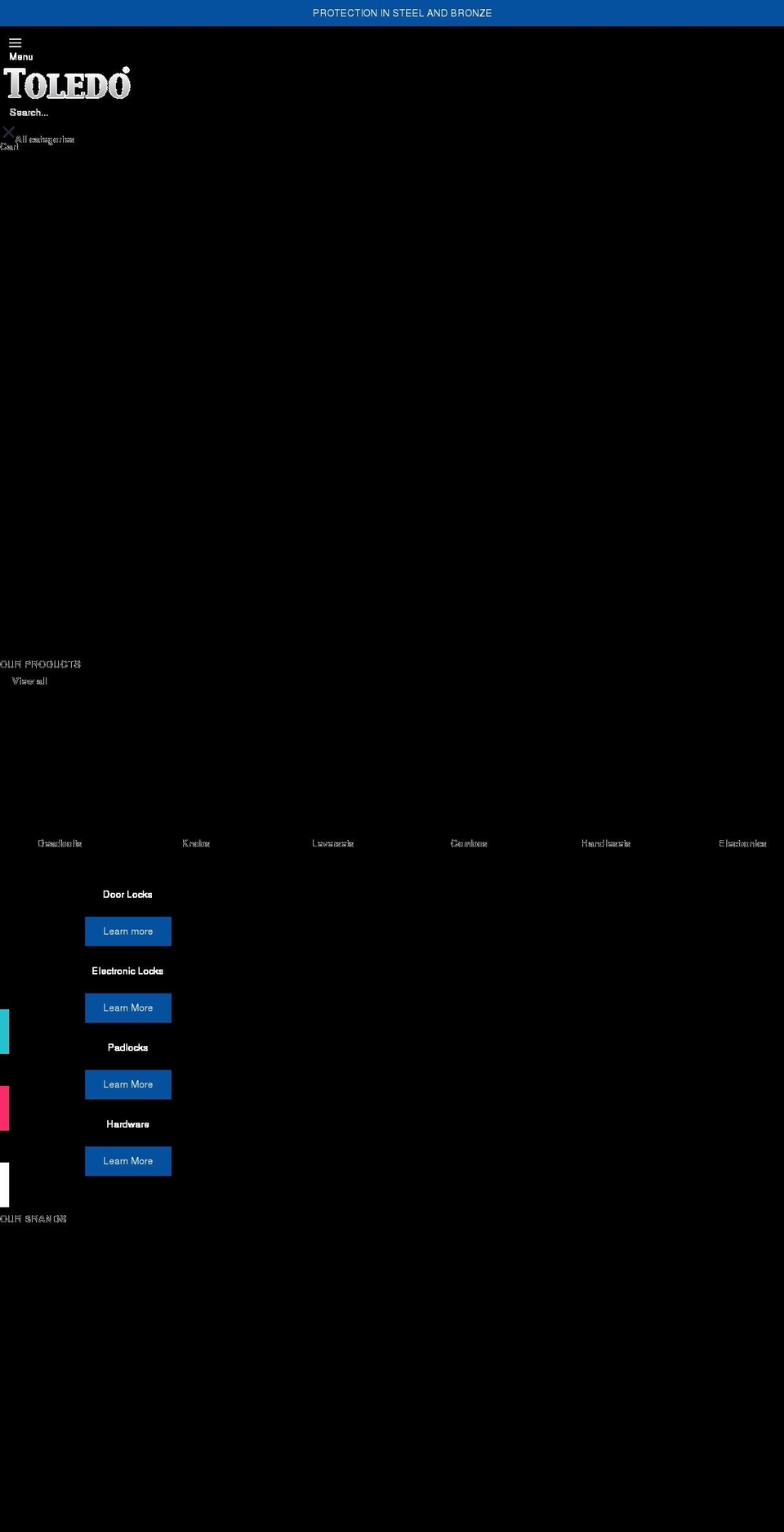 toledolocks.com shopify website screenshot