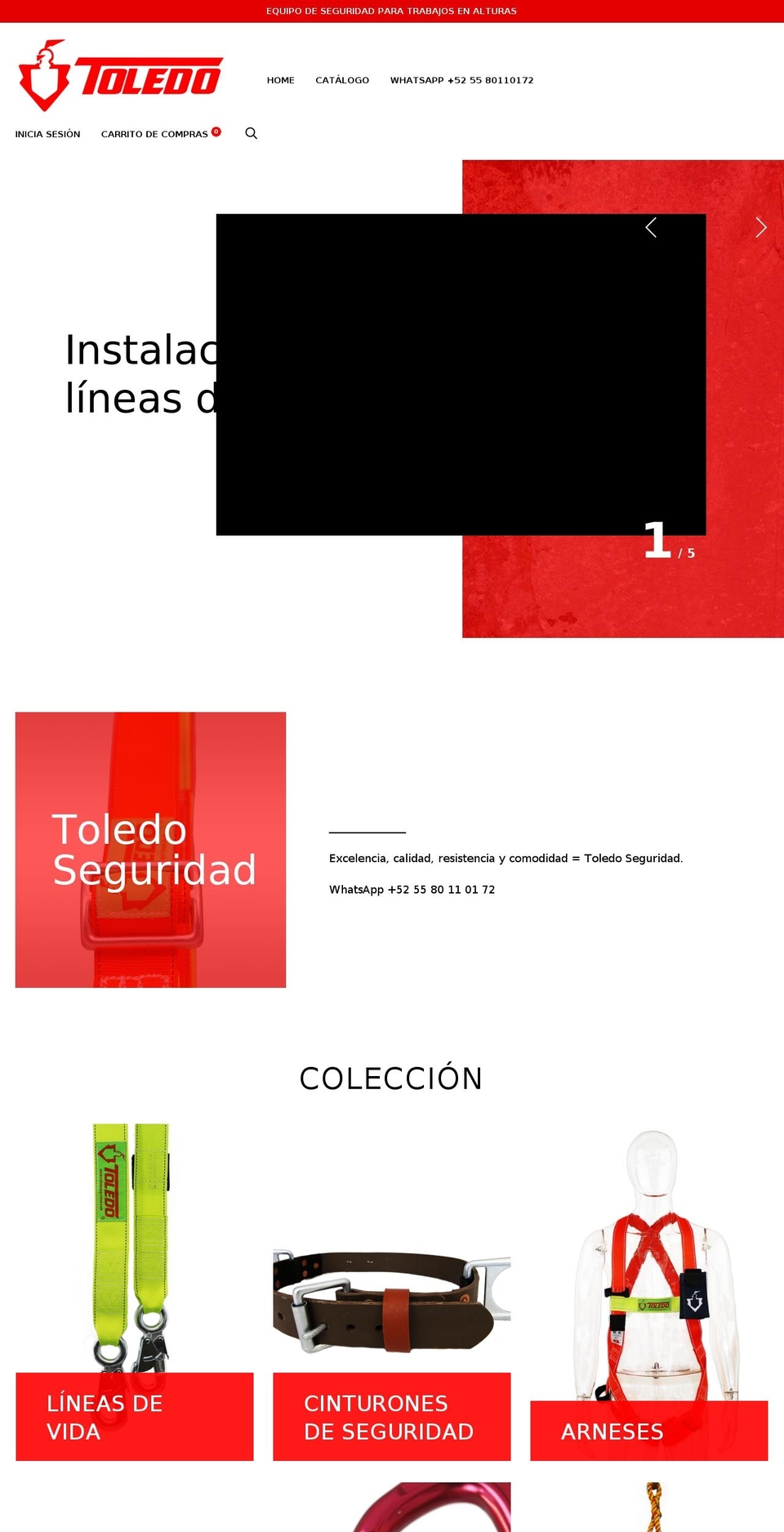 toledoseguridadtienda.com shopify website screenshot