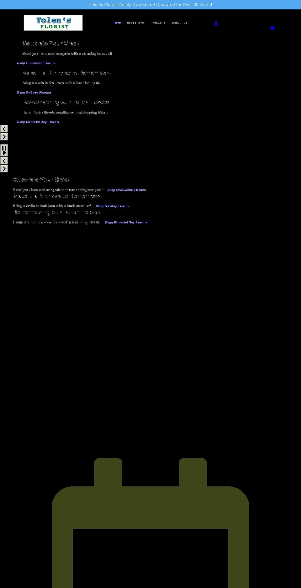 mol-standard- Shopify theme site example tolensflowers.com
