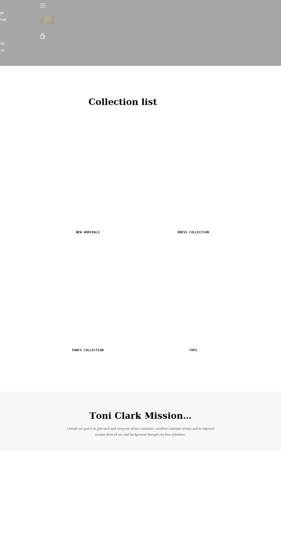 toniclarkboutique.com — Shopify storefront screenshot