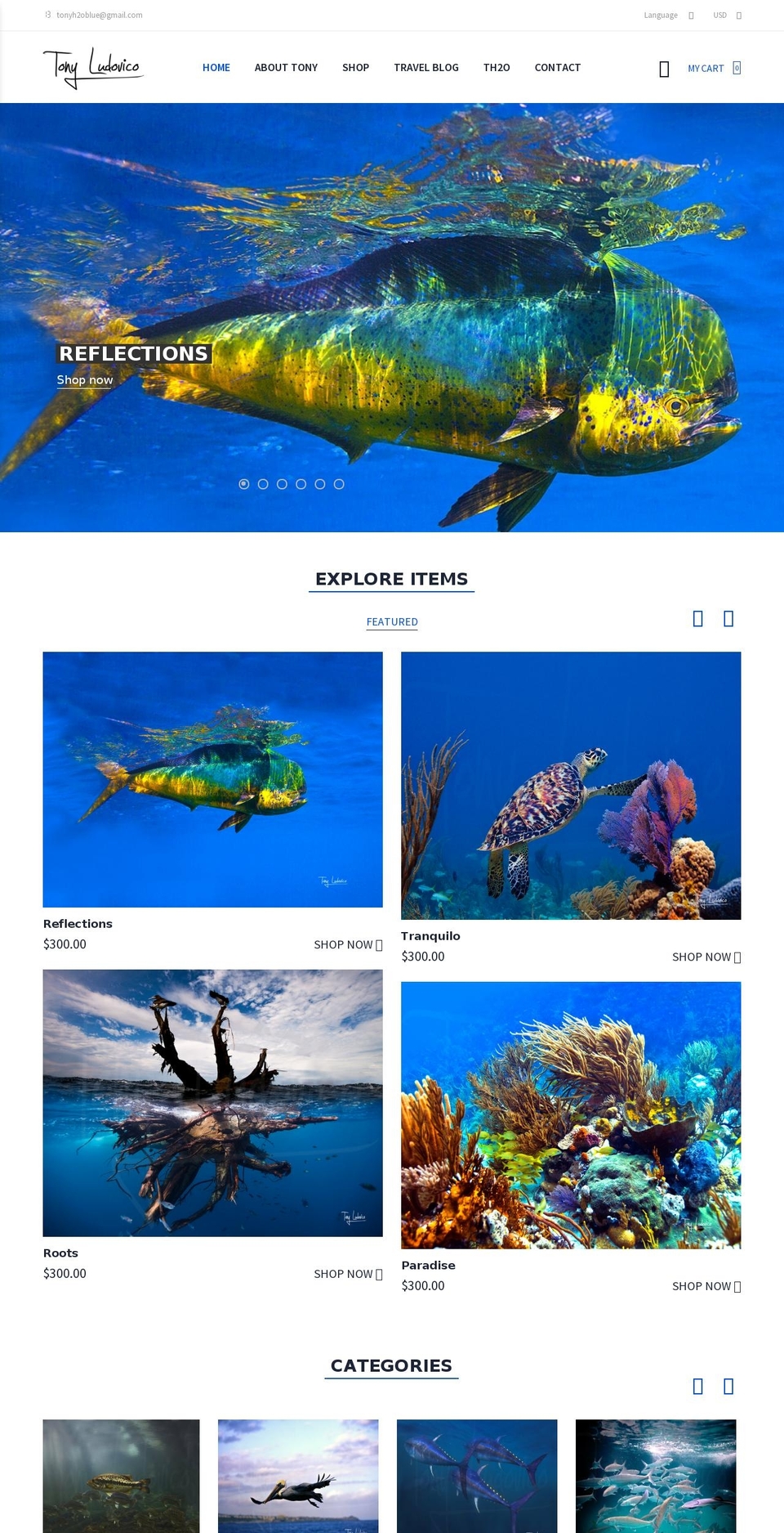 tonyludovicophotography.com — Shopify storefront screenshot