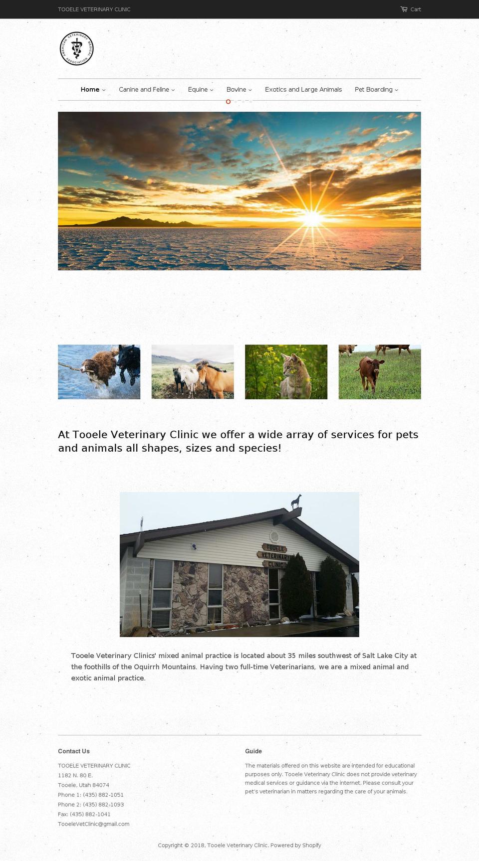 tooelevetclinic.com shopify website screenshot