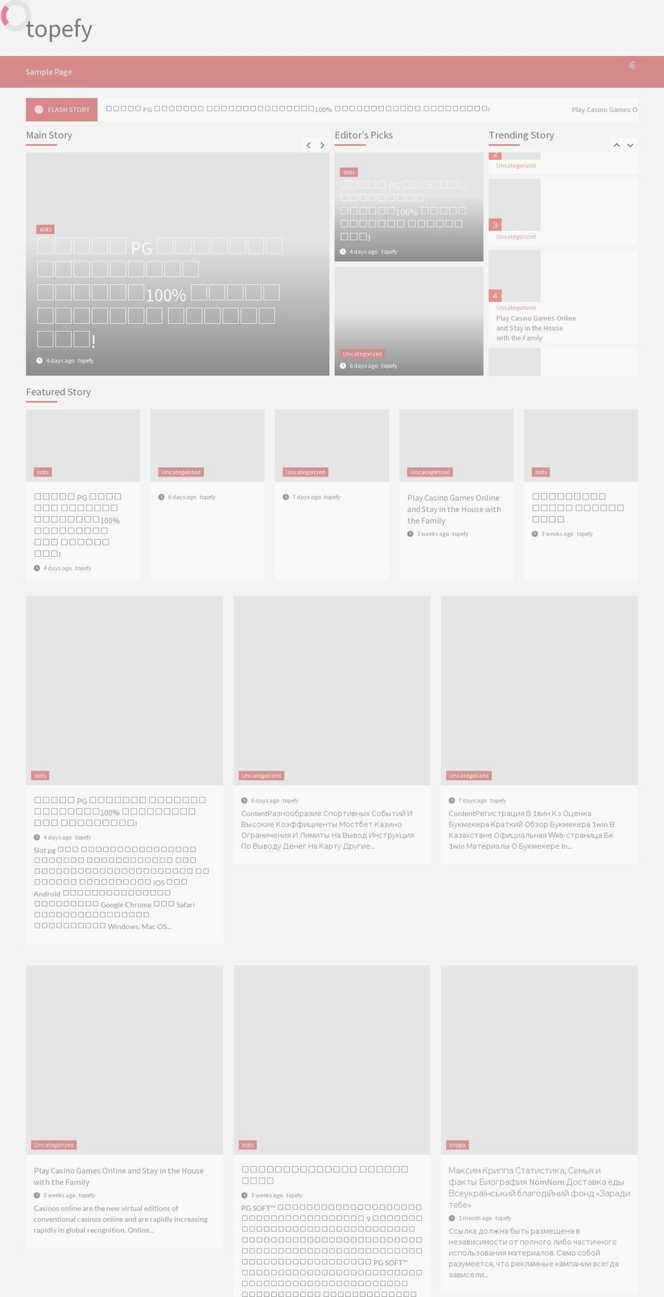 topefy.com — Shopify storefront screenshot