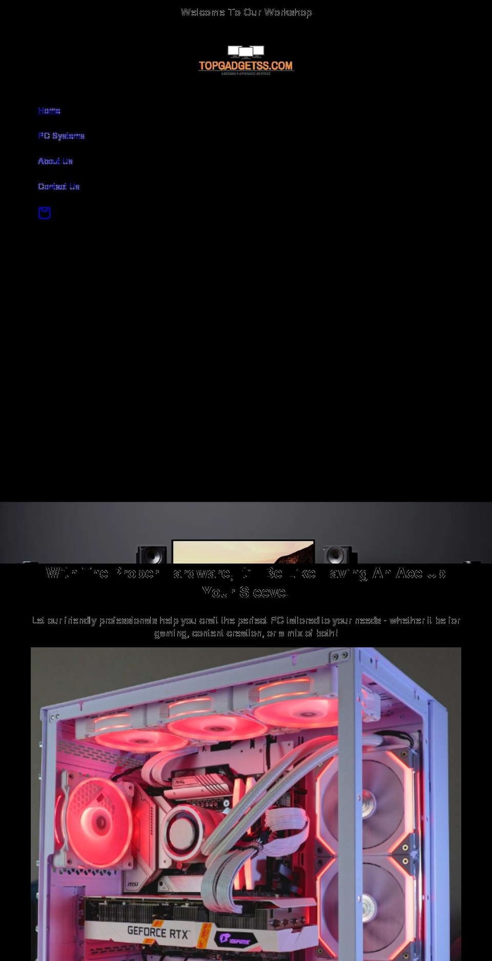 topgadgetss.com shopify website screenshot