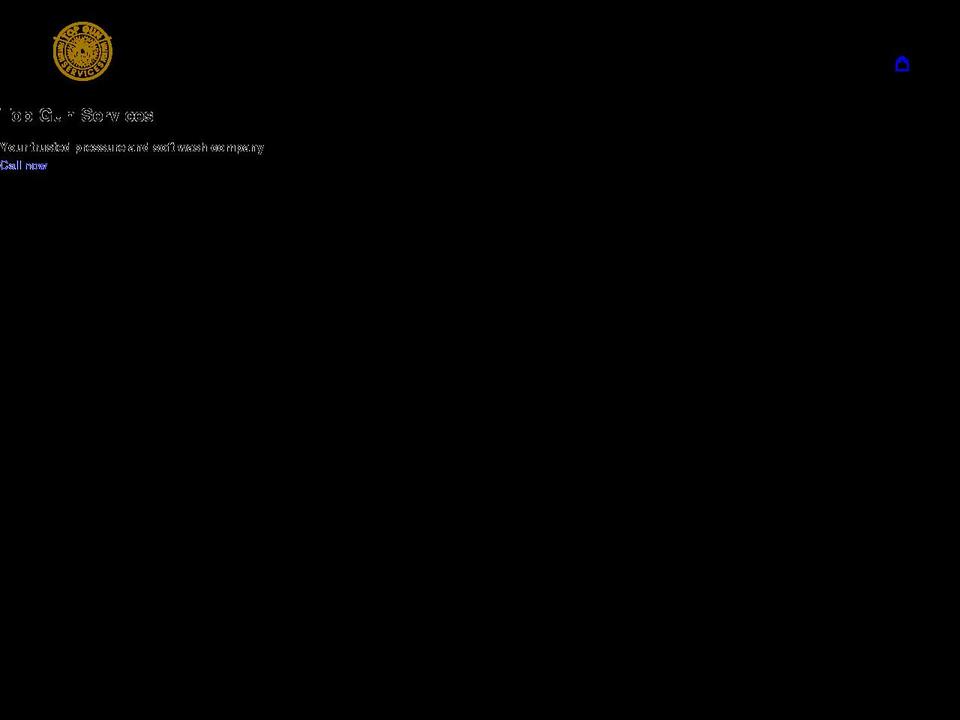 topgunservicesga.com shopify website screenshot