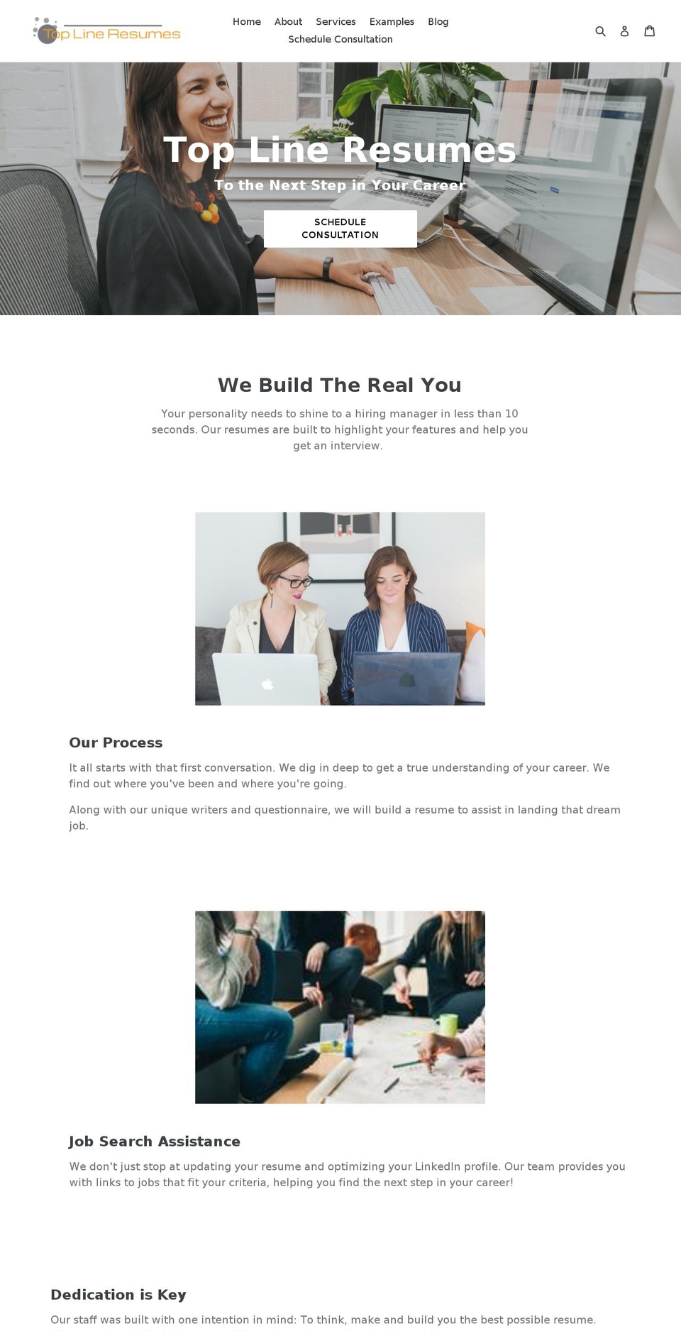 toplineresumes.com — Shopify storefront screenshot