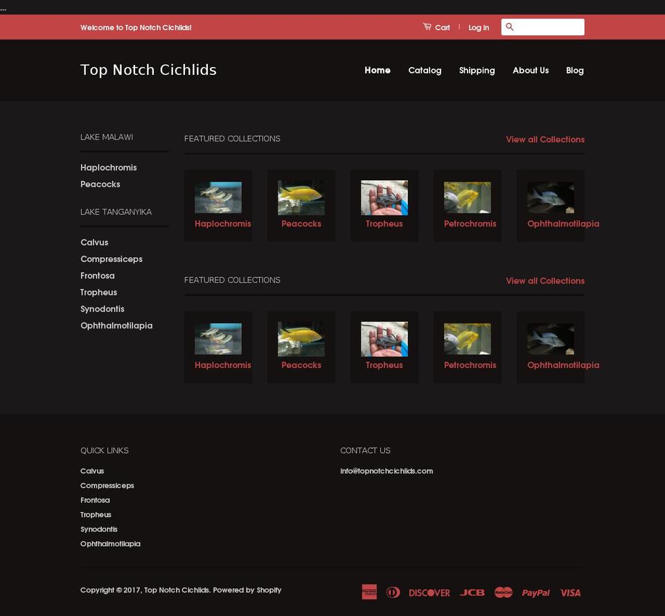 topnotchcichlids.com shopify website screenshot