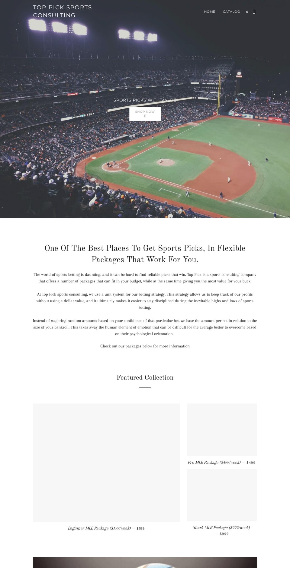 toppickconsulting.com shopify website screenshot