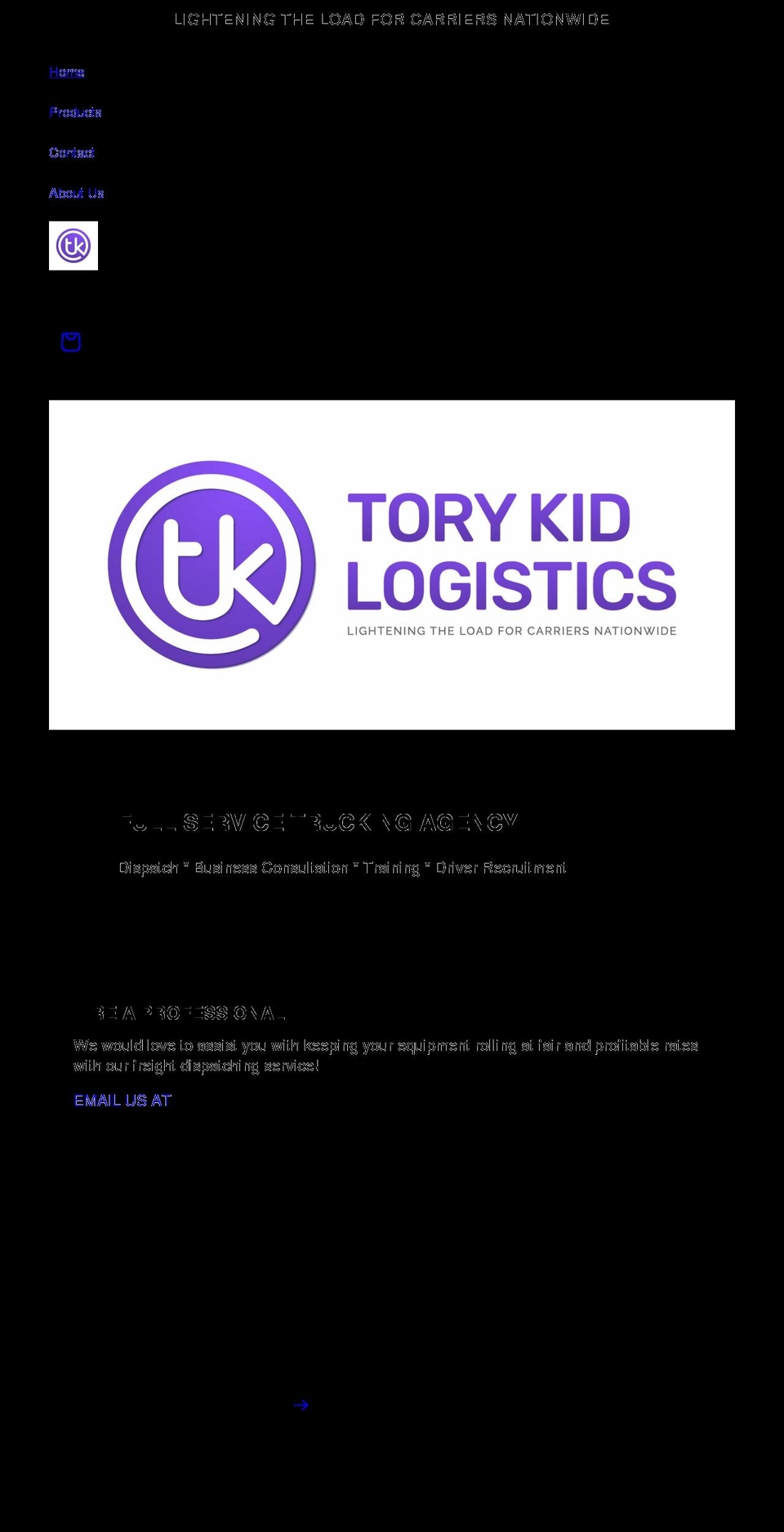 torykid.com shopify website screenshot