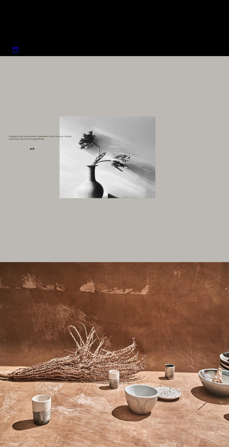 totemhome.com shopify website screenshot