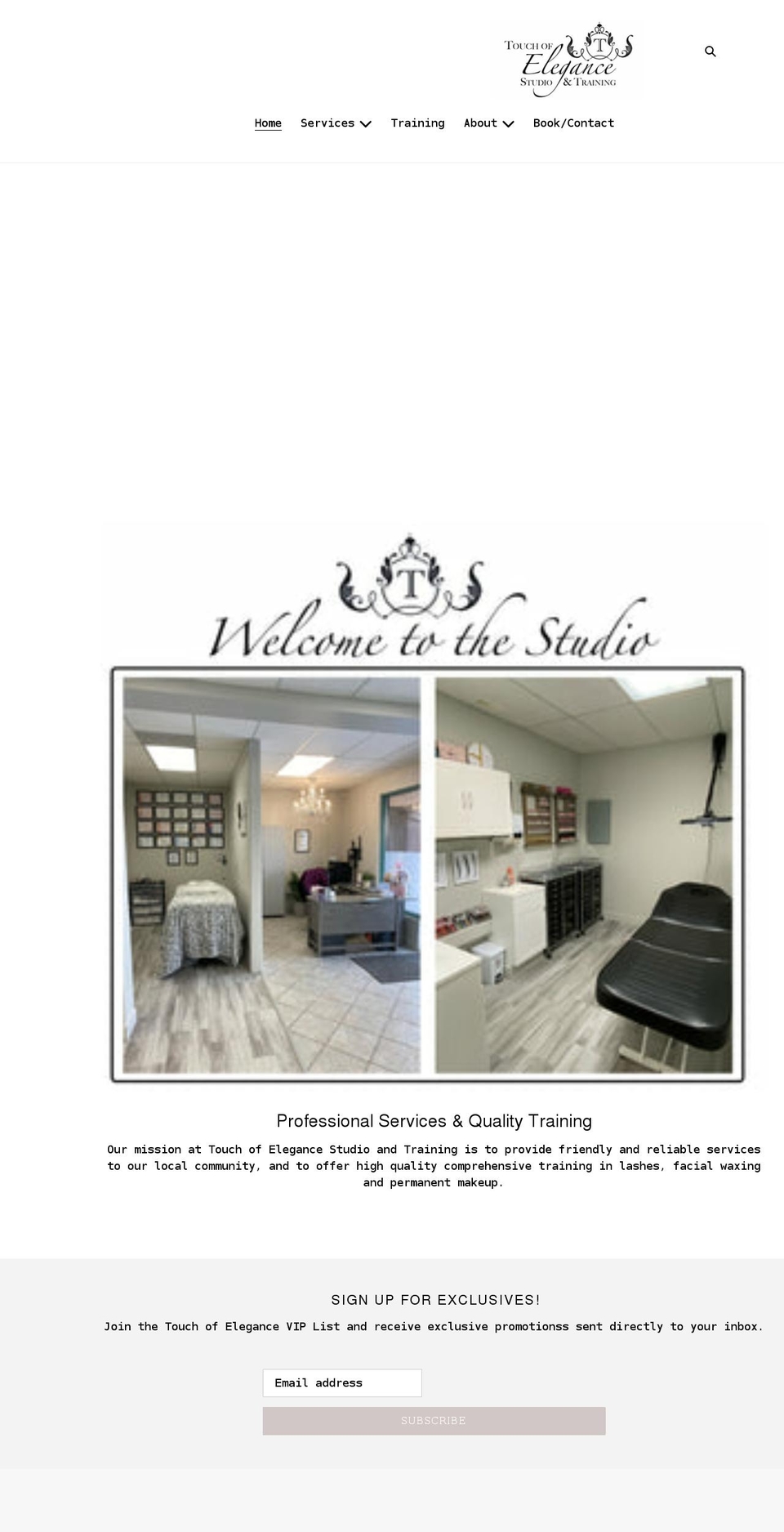 touchofelegancestudioandtraining.com shopify website screenshot