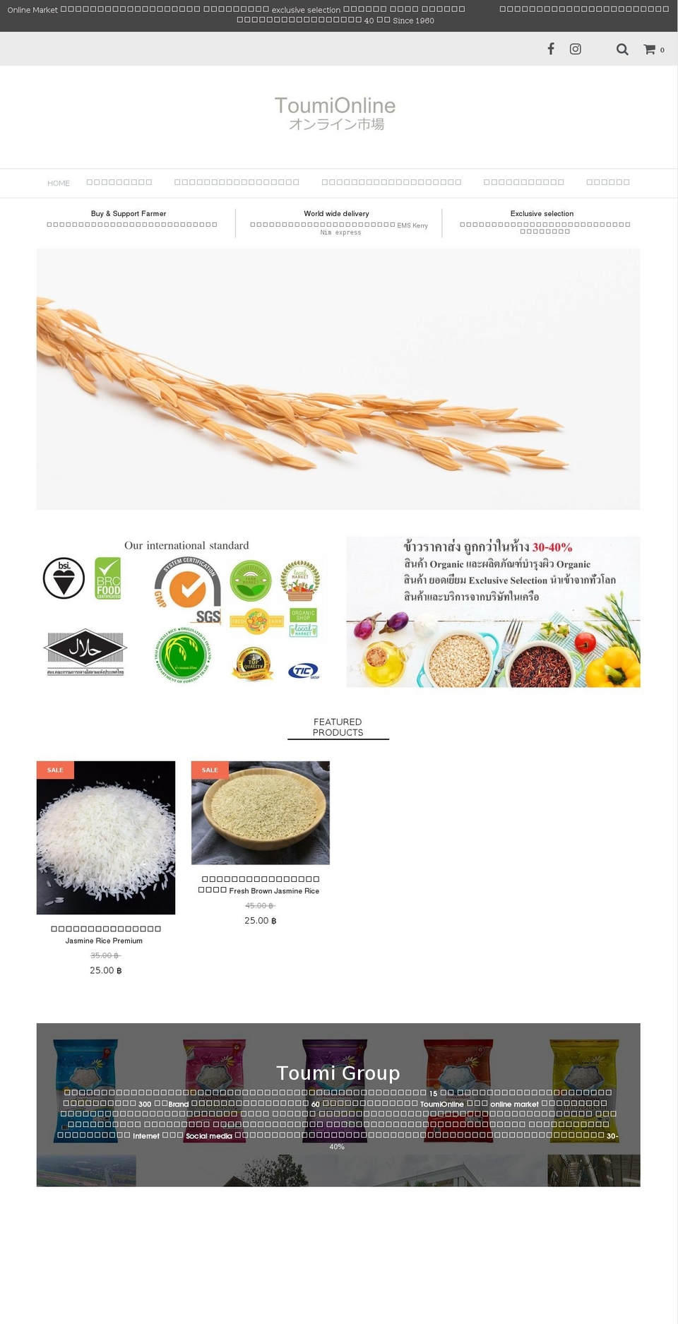 toumionline.com — Shopify storefront screenshot