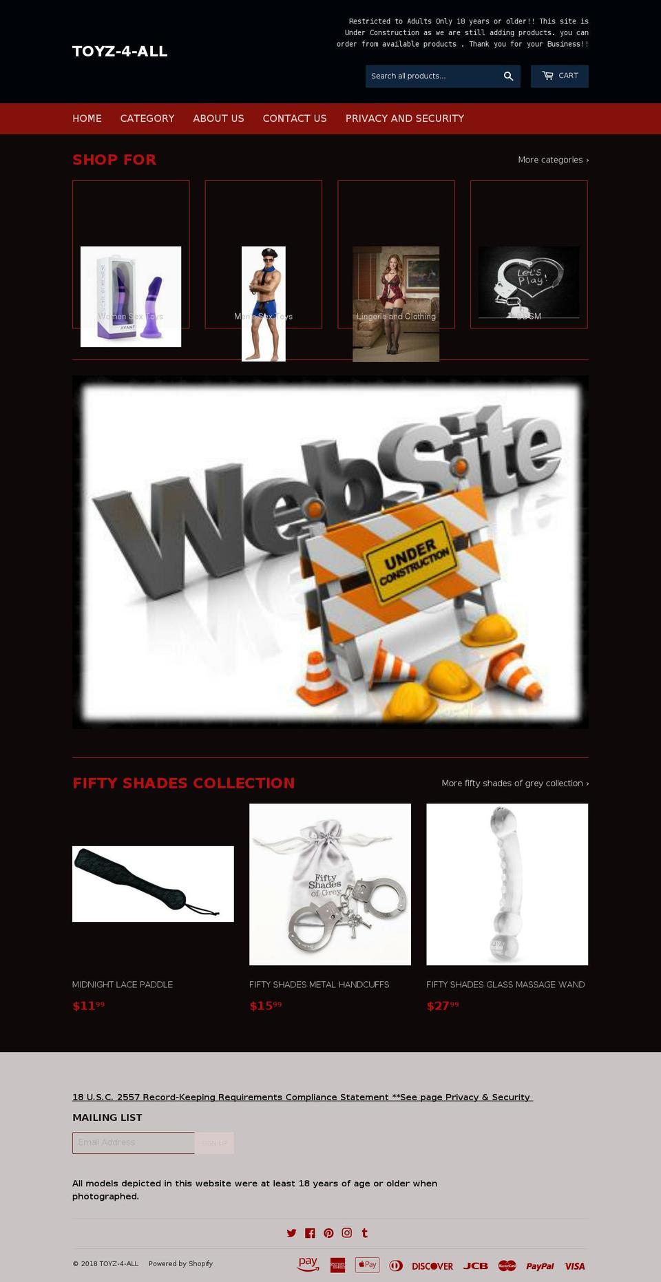 toyz-4-all.com shopify website screenshot