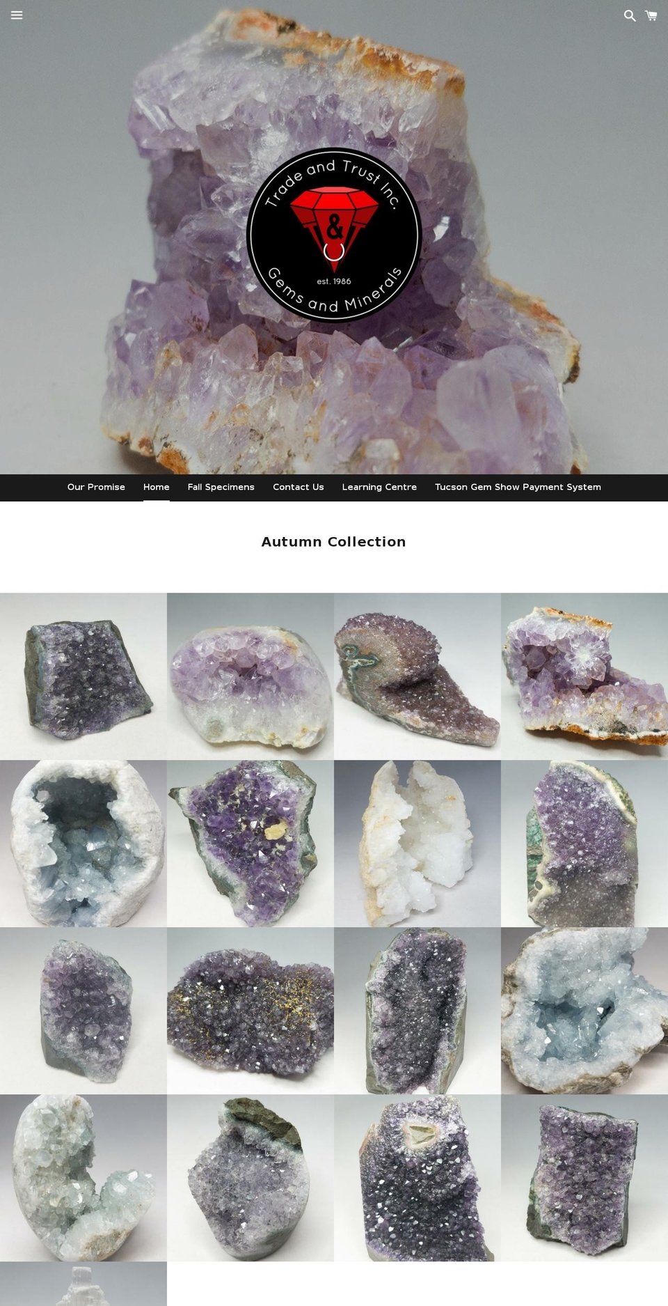 tradeandtrustgems.com shopify website screenshot