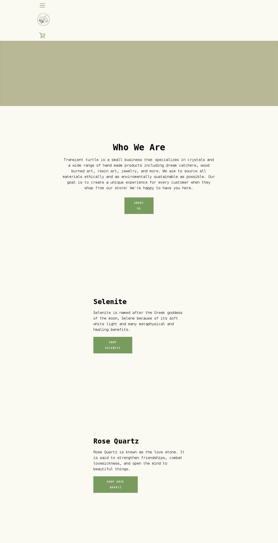 transientturtle.com shopify website screenshot