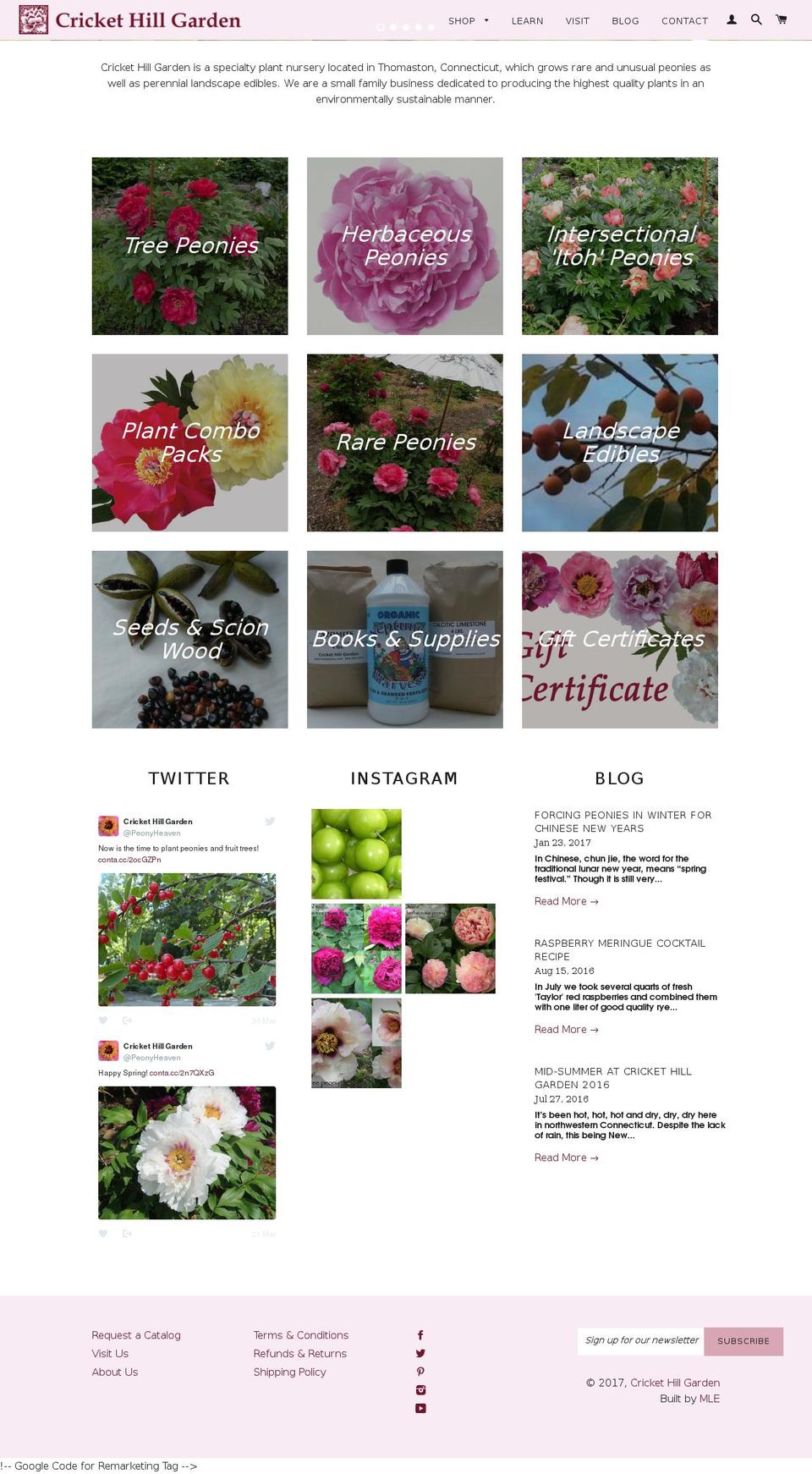 treepeony.com shopify website screenshot