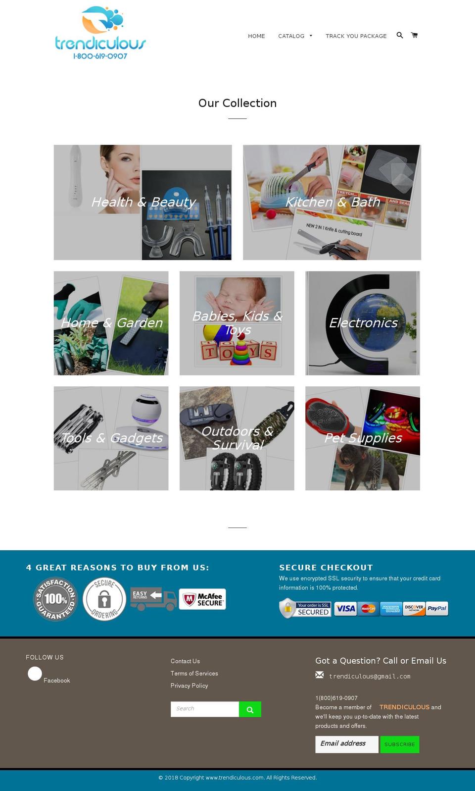 trendiculous.com — Shopify storefront screenshot
