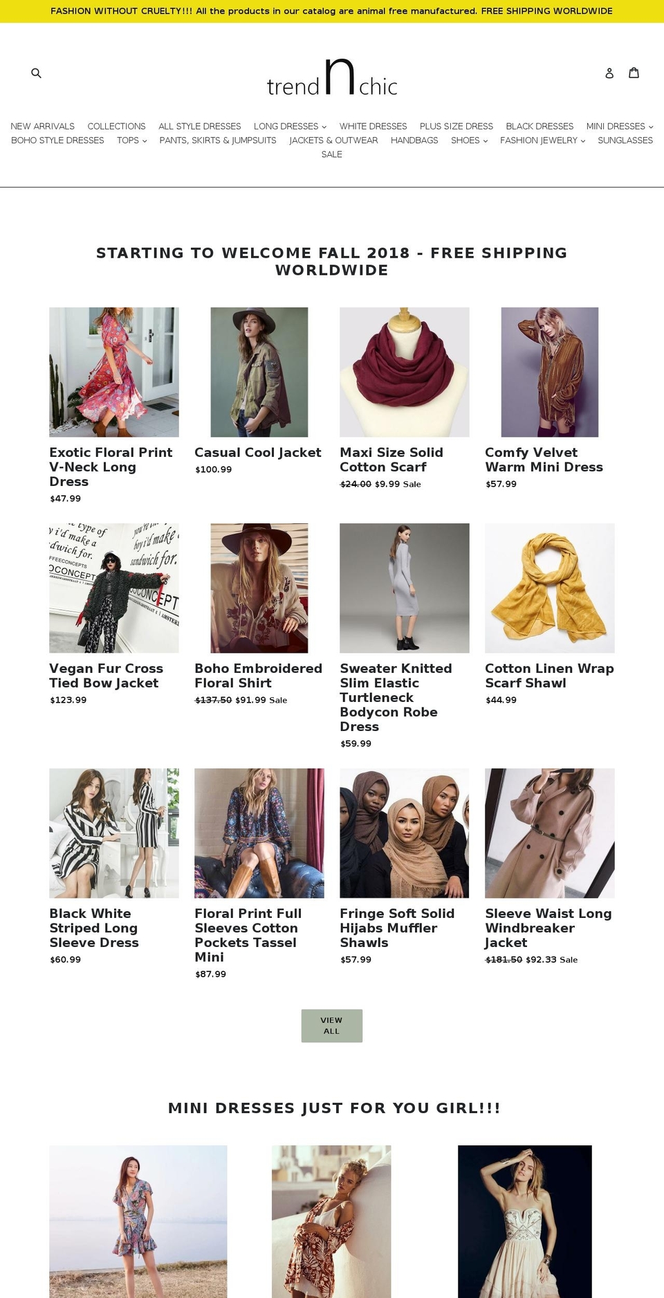 trendnchic.com — Shopify storefront screenshot