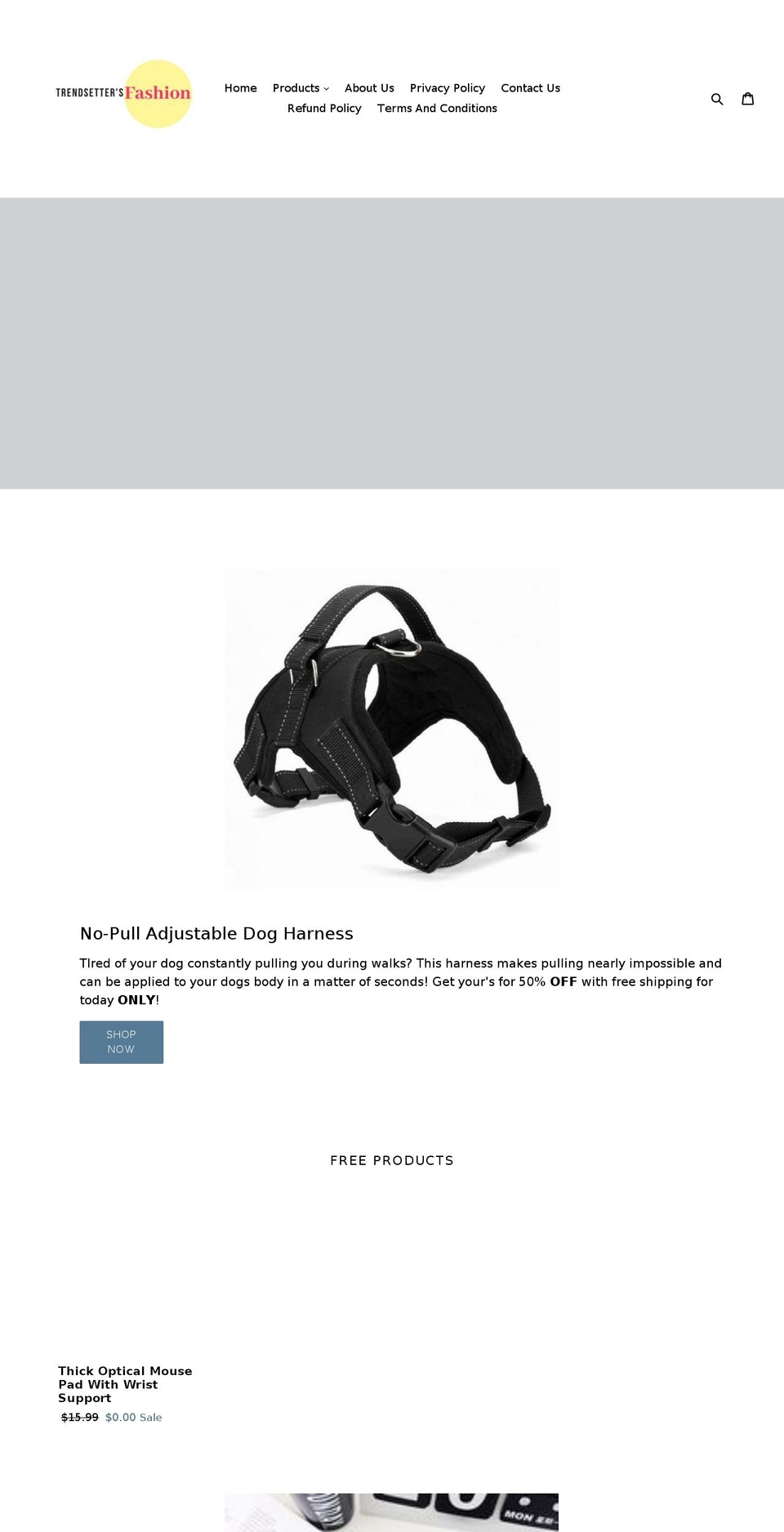 trendsettersfashion.net shopify website screenshot