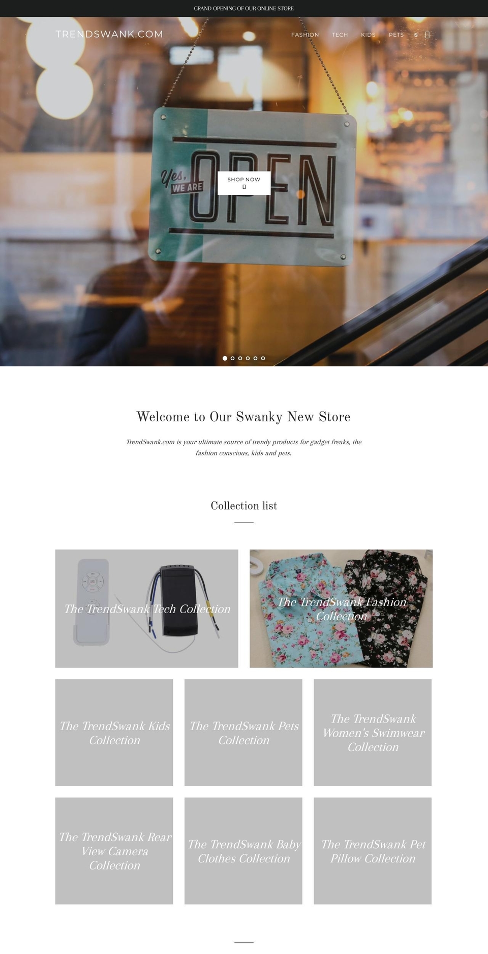 trendswank.com — Shopify storefront screenshot