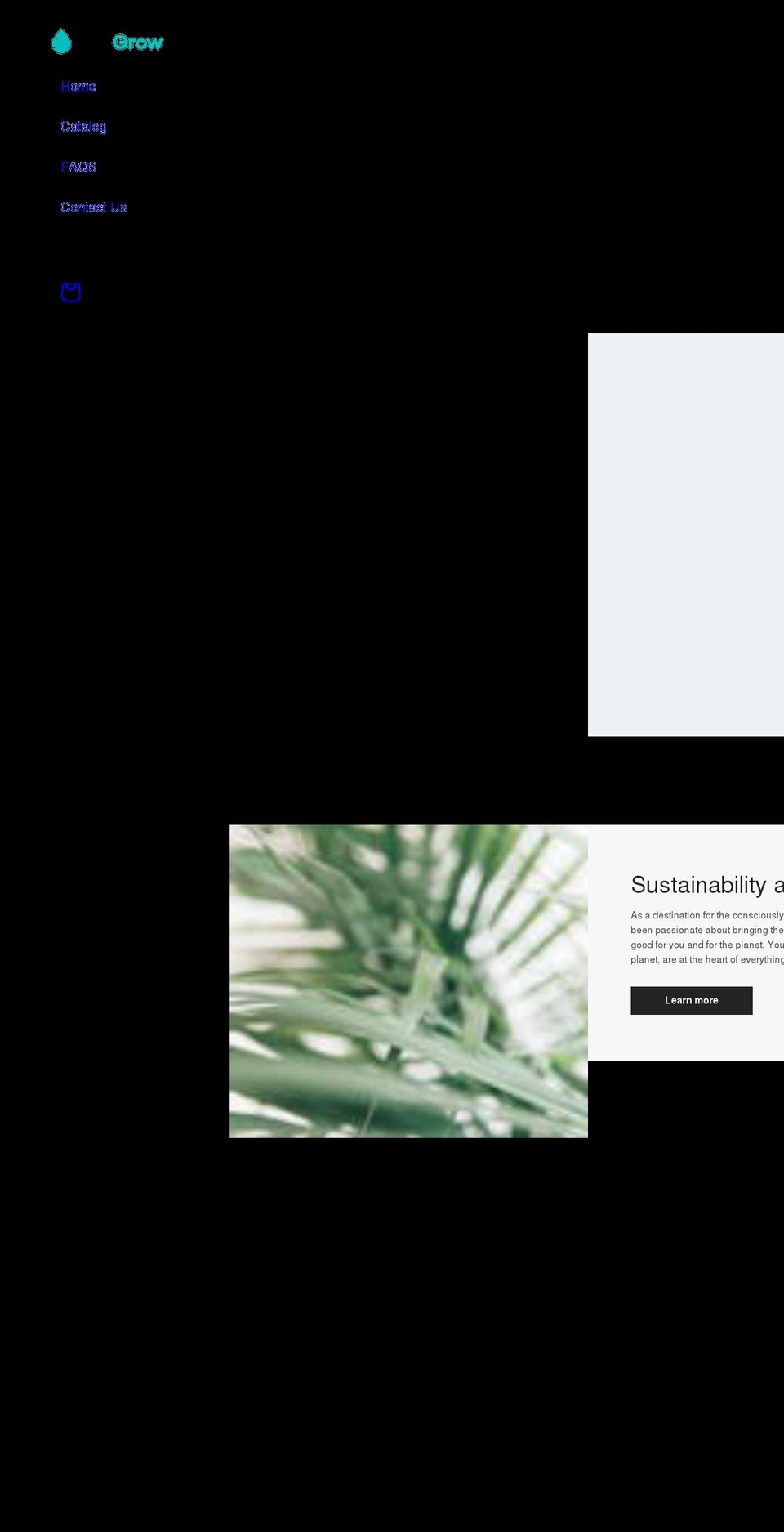 trendyandshop.com shopify website screenshot